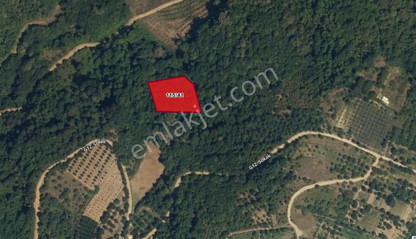 Yalova Altınova Sermayecik Satılık Tarla