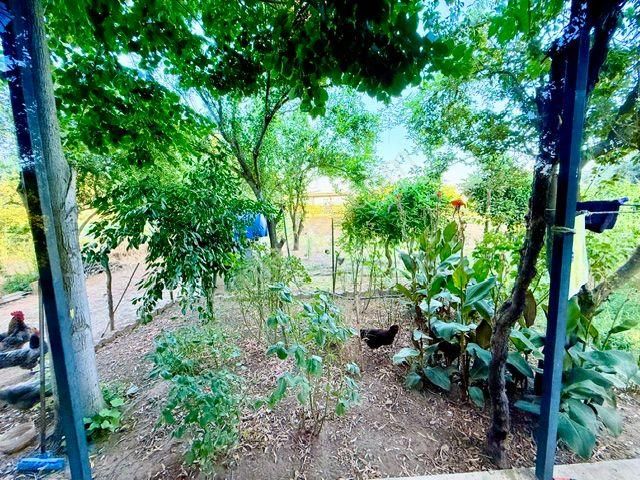 İzmir Bayındır A 3 Km Mesafede Satılık Süper Bir Yer - Görsel 15