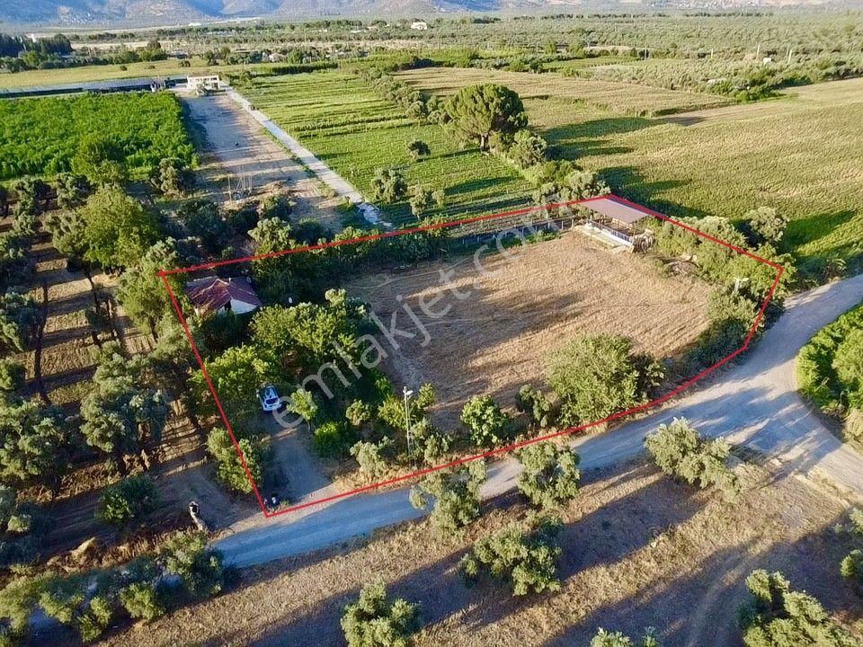 İzmir Bayındır A 3 Km Mesafede Satılık Süper Bir Yer - Görsel 8