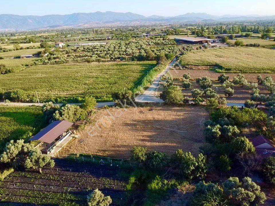 İzmir Bayındır A 3 Km Mesafede Satılık Süper Bir Yer - Görsel 13