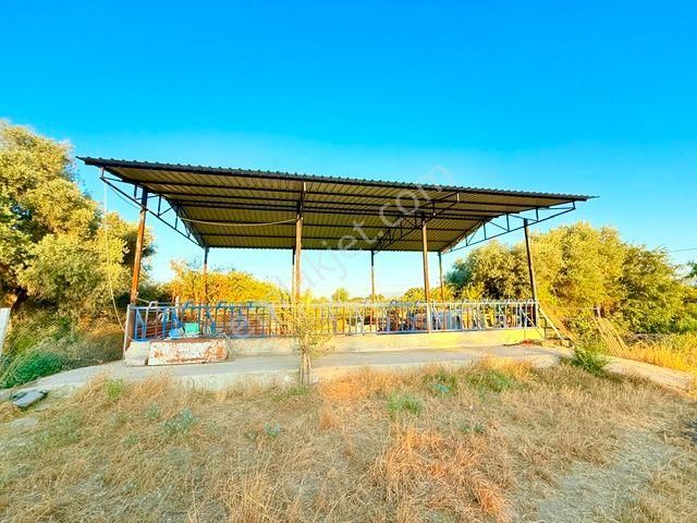 İzmir Bayındır A 3 Km Mesafede Satılık Süper Bir Yer - Görsel 20