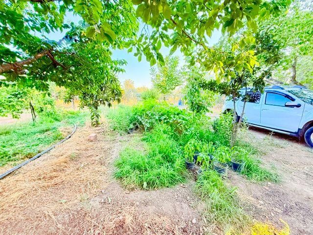 İzmir Bayındır A 3 Km Mesafede Satılık Süper Bir Yer - Görsel 26