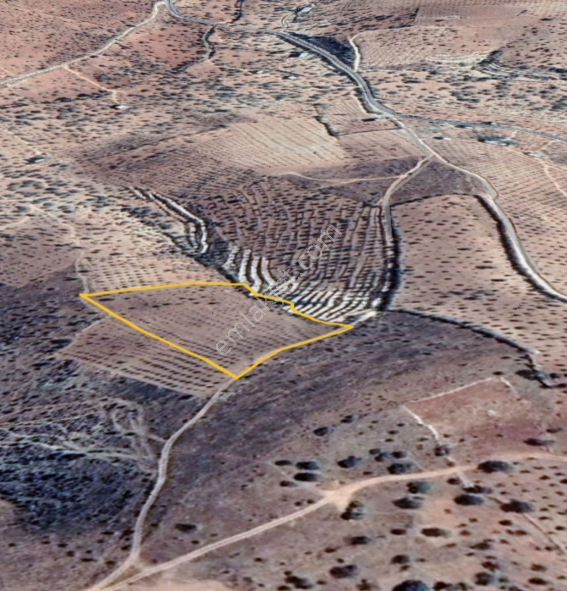 Nizip Salkım Da 11,750 M² Tek Tapu Çok Uygun Fıstıklık - Görsel 8