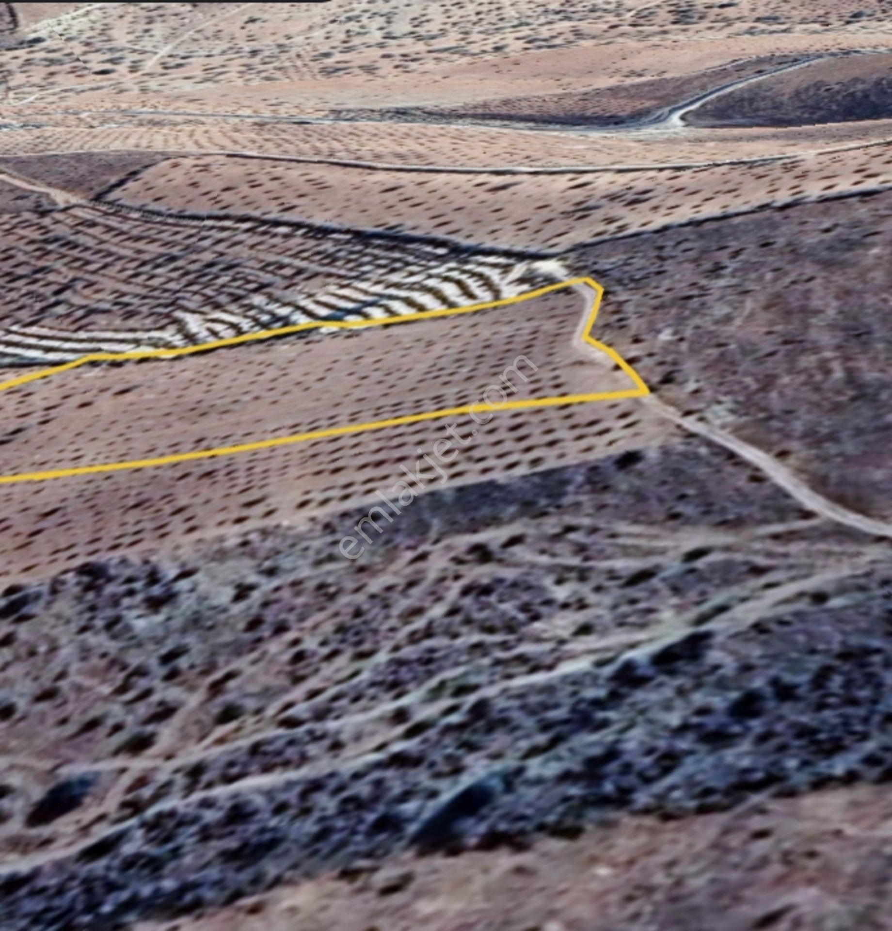 Nizip Salkım Da 11,750 M² Tek Tapu Çok Uygun Fıstıklık - Görsel 9