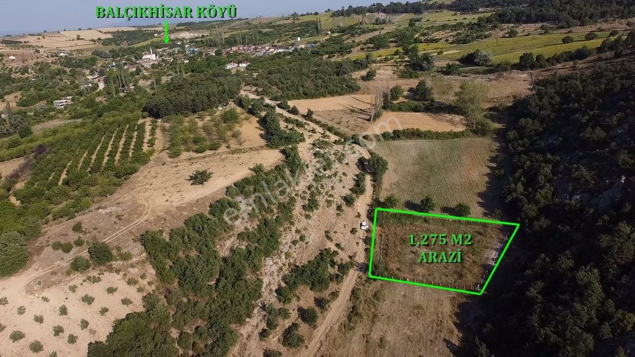 Köye Yakın Etrafı Çevreli 1.275 M2 Fırsat Meyve Bahçesi