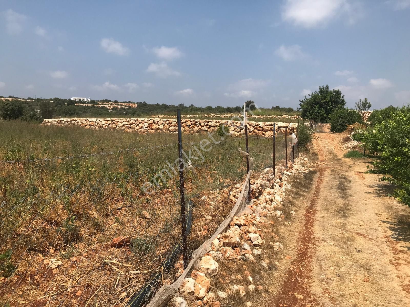 Narlikuyu - Kavlaklıda Satılık Deniz Manzaralı Tarla - Görsel 5
