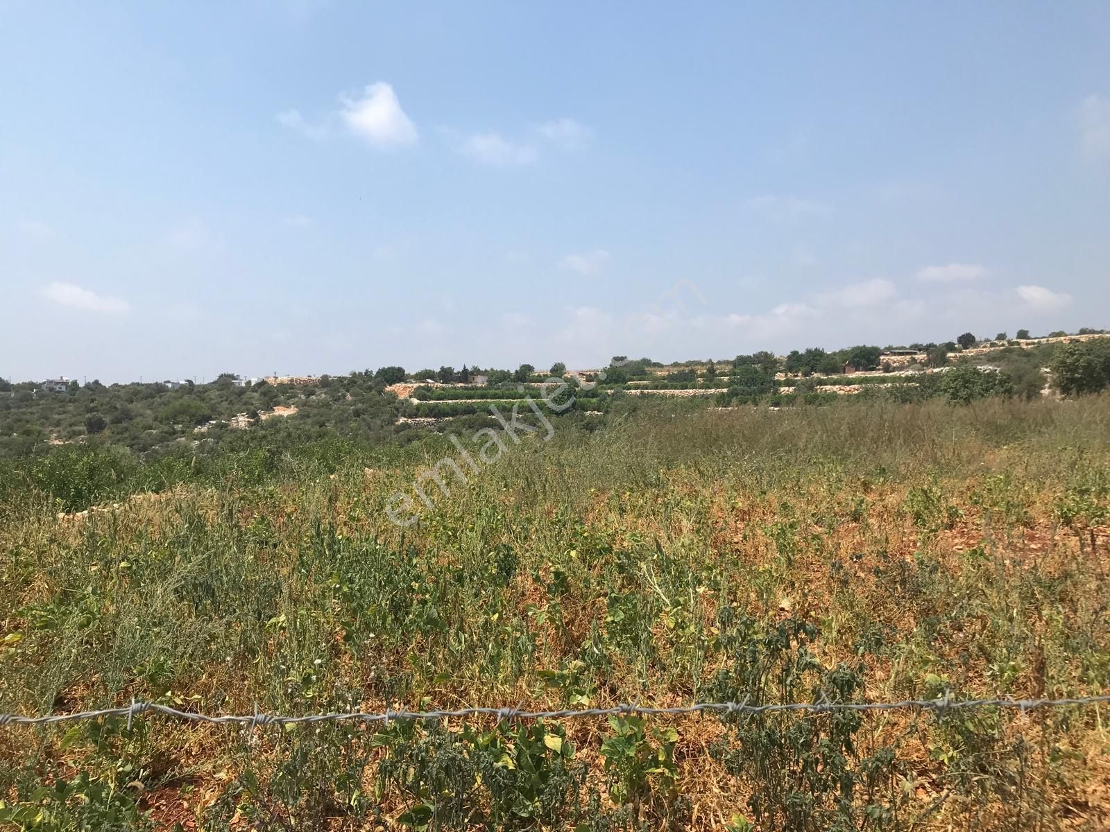 Narlikuyu - Kavlaklıda Satılık Deniz Manzaralı Tarla