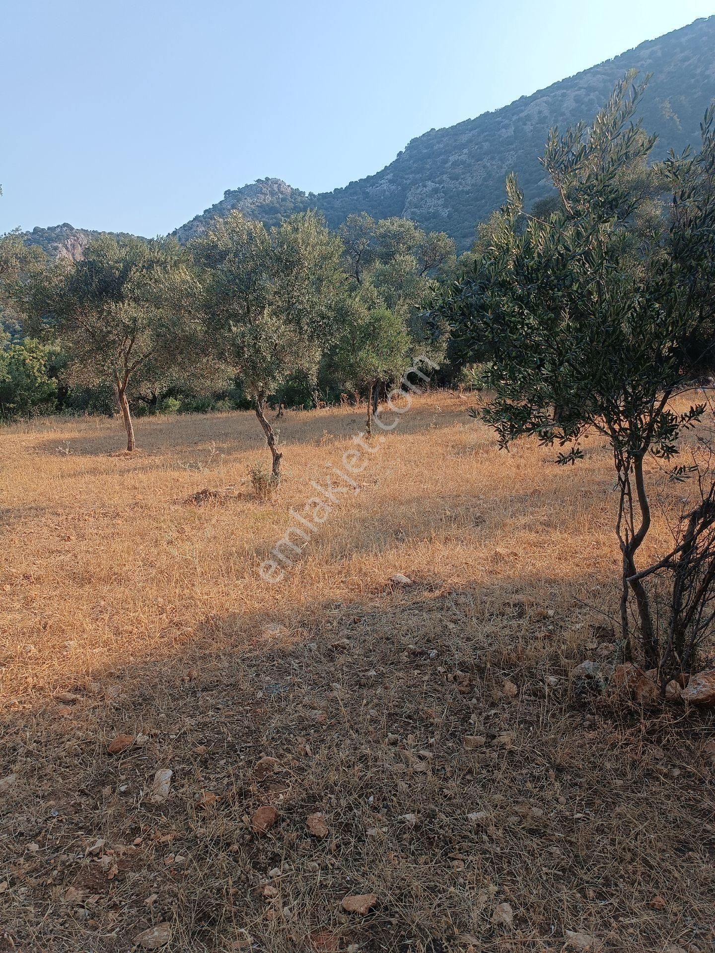Seydikemer Gölbent'te Satılık Arazi - Görsel 2