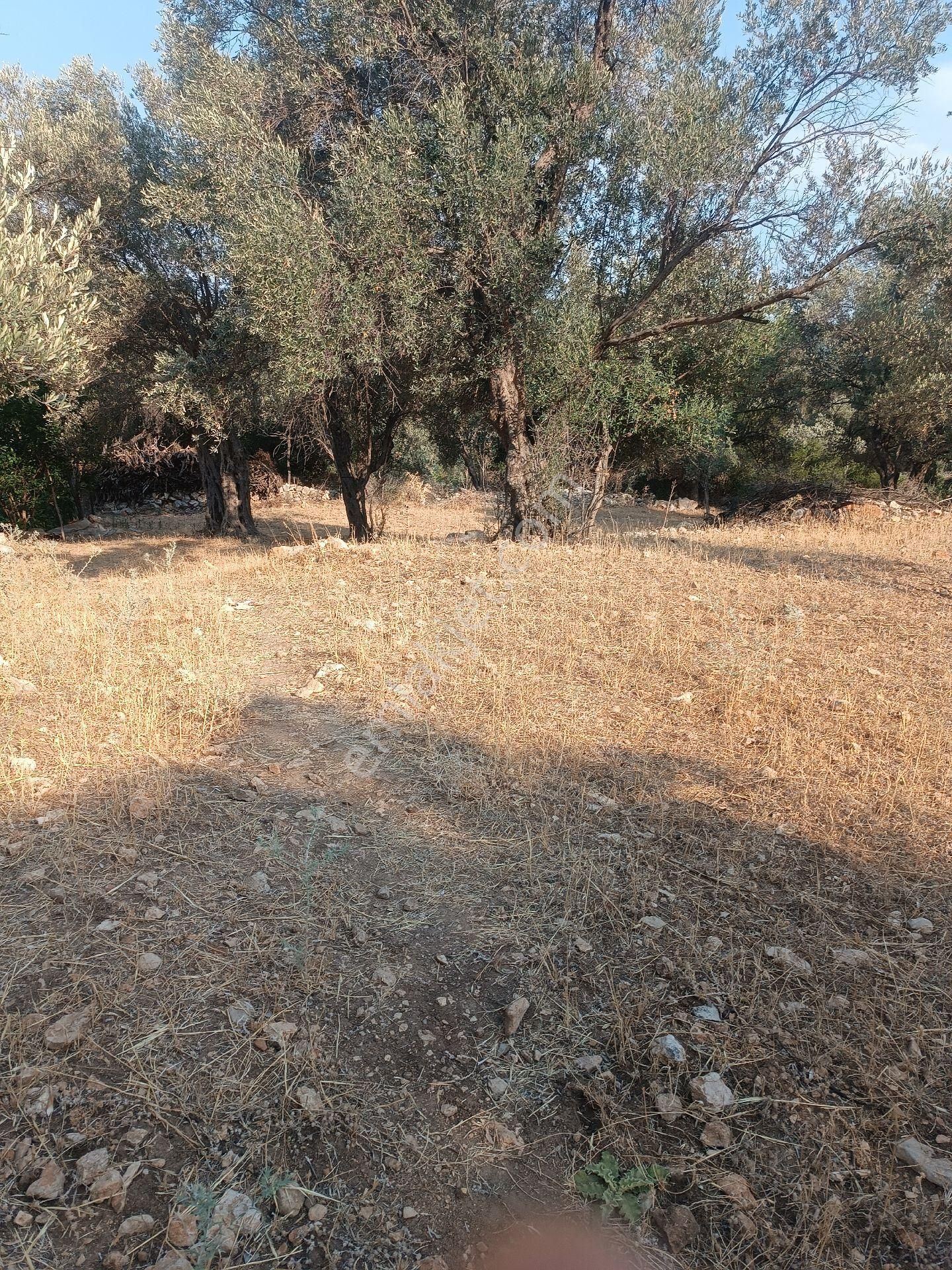 Seydikemer Gölbent'te Satılık Arazi - Görsel 5