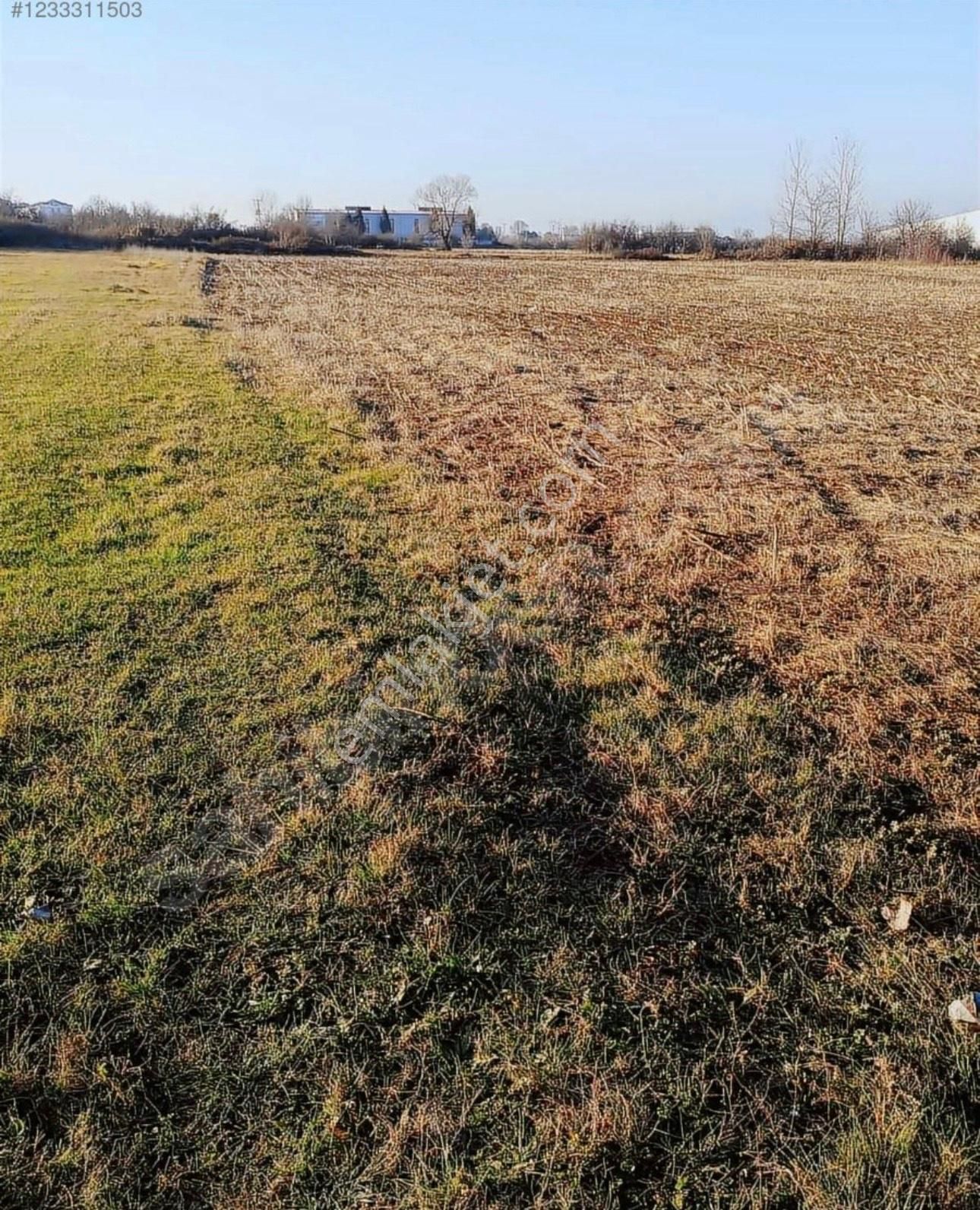 Kelepir Arsa Yol Üstü Sanayi Bölgesine Yakın