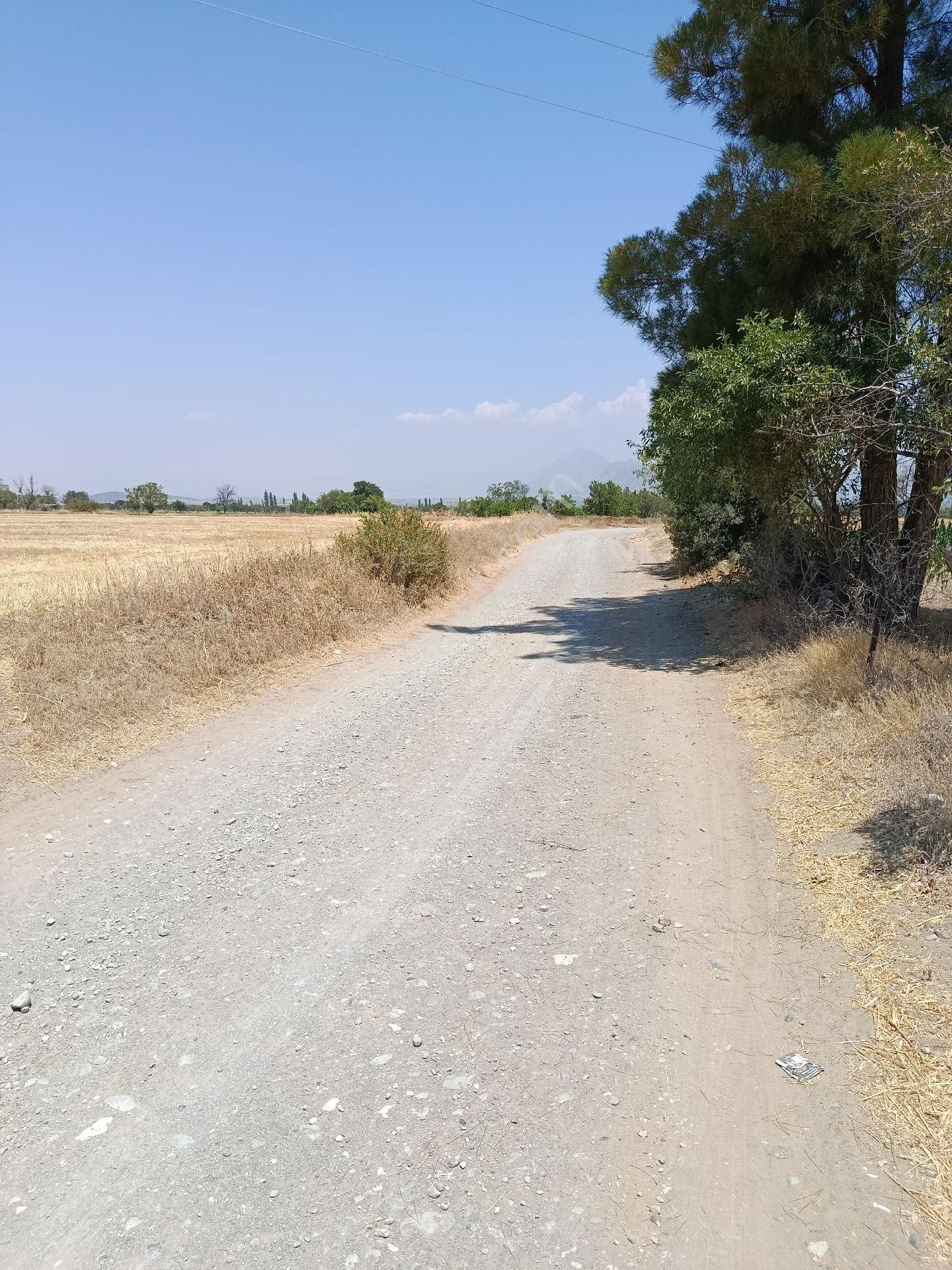 Atabey'den Denizli Acıpayam Darıveren Satılık Tarla - Görsel 5