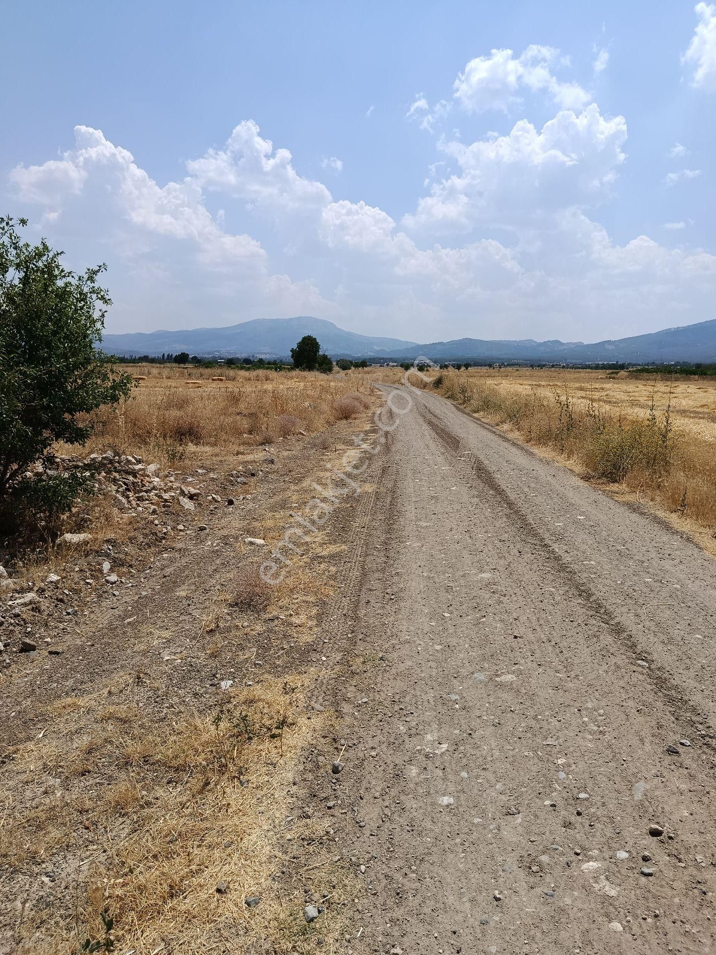 Atabey'den Denizli Acıpayam Darıveren Satılık Tarla - Görsel 19