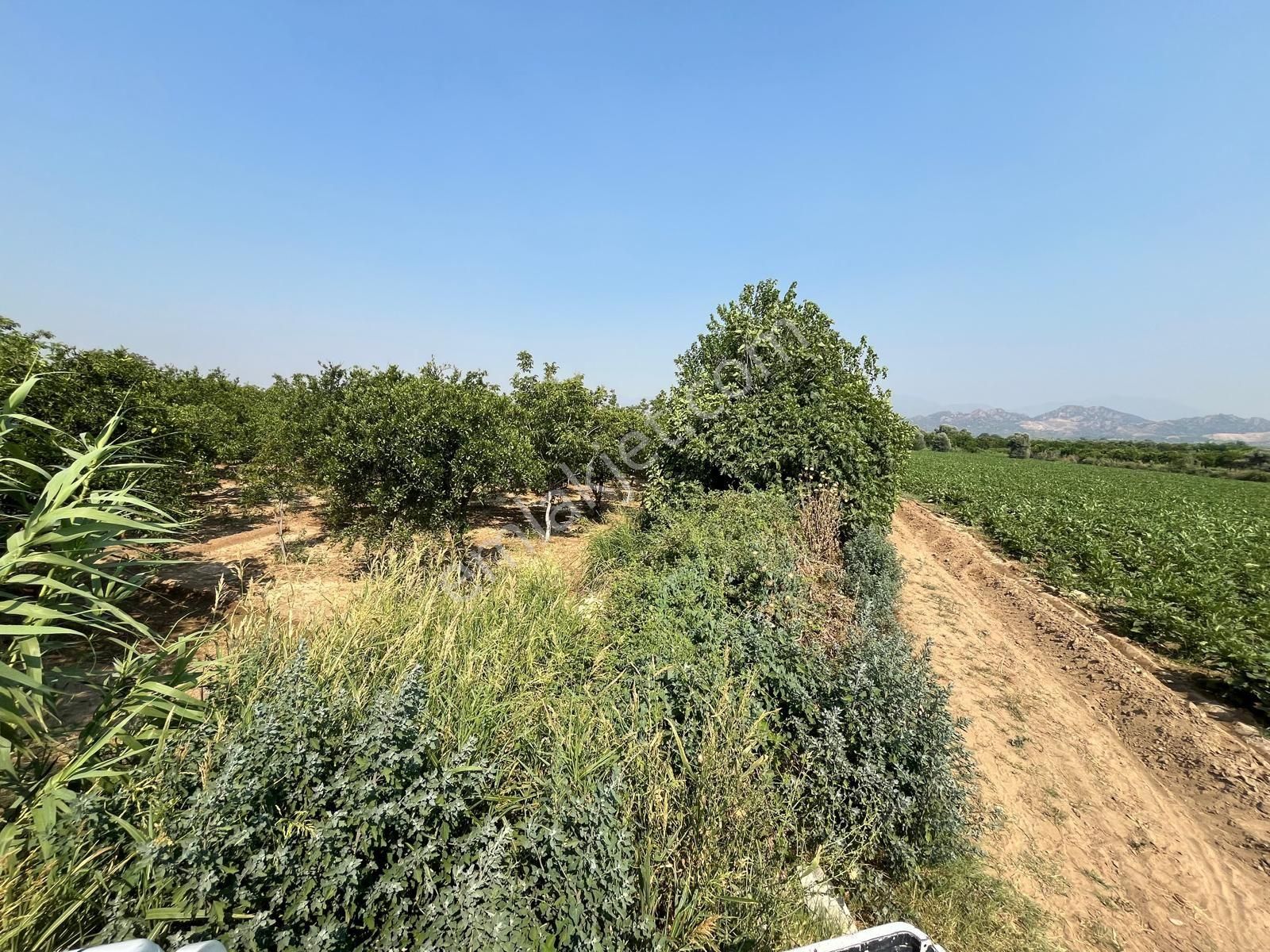 Yalınkuyuda 6400 Metre Yolu Ve Suyu Olan Bahçe - Görsel 2