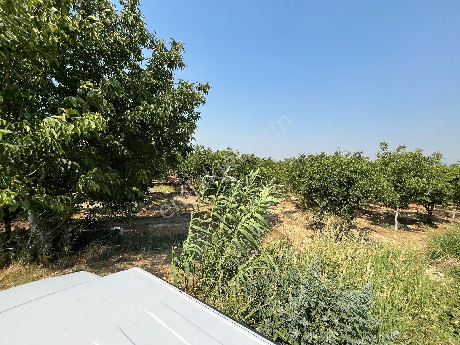 Yalınkuyuda 6400 Metre Yolu Ve Suyu Olan Bahçe - Görsel 4