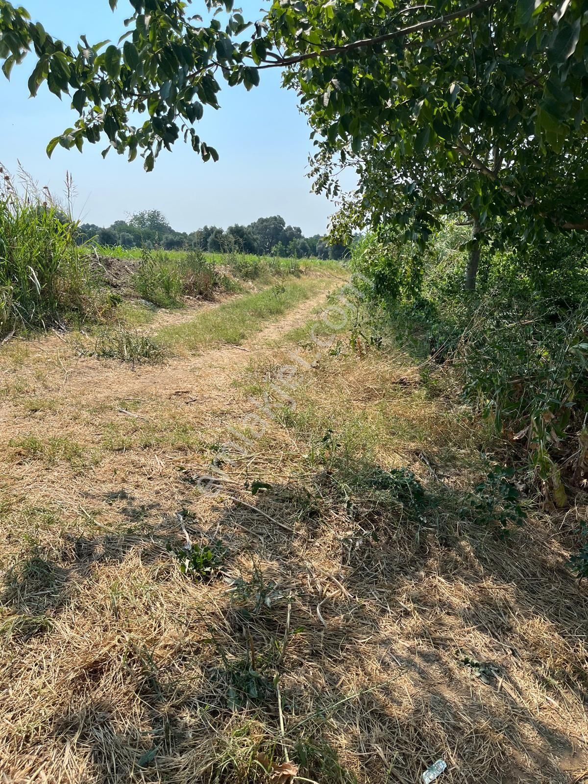 Yalınkuyuda 6400 Metre Yolu Ve Suyu Olan Bahçe - Görsel 11