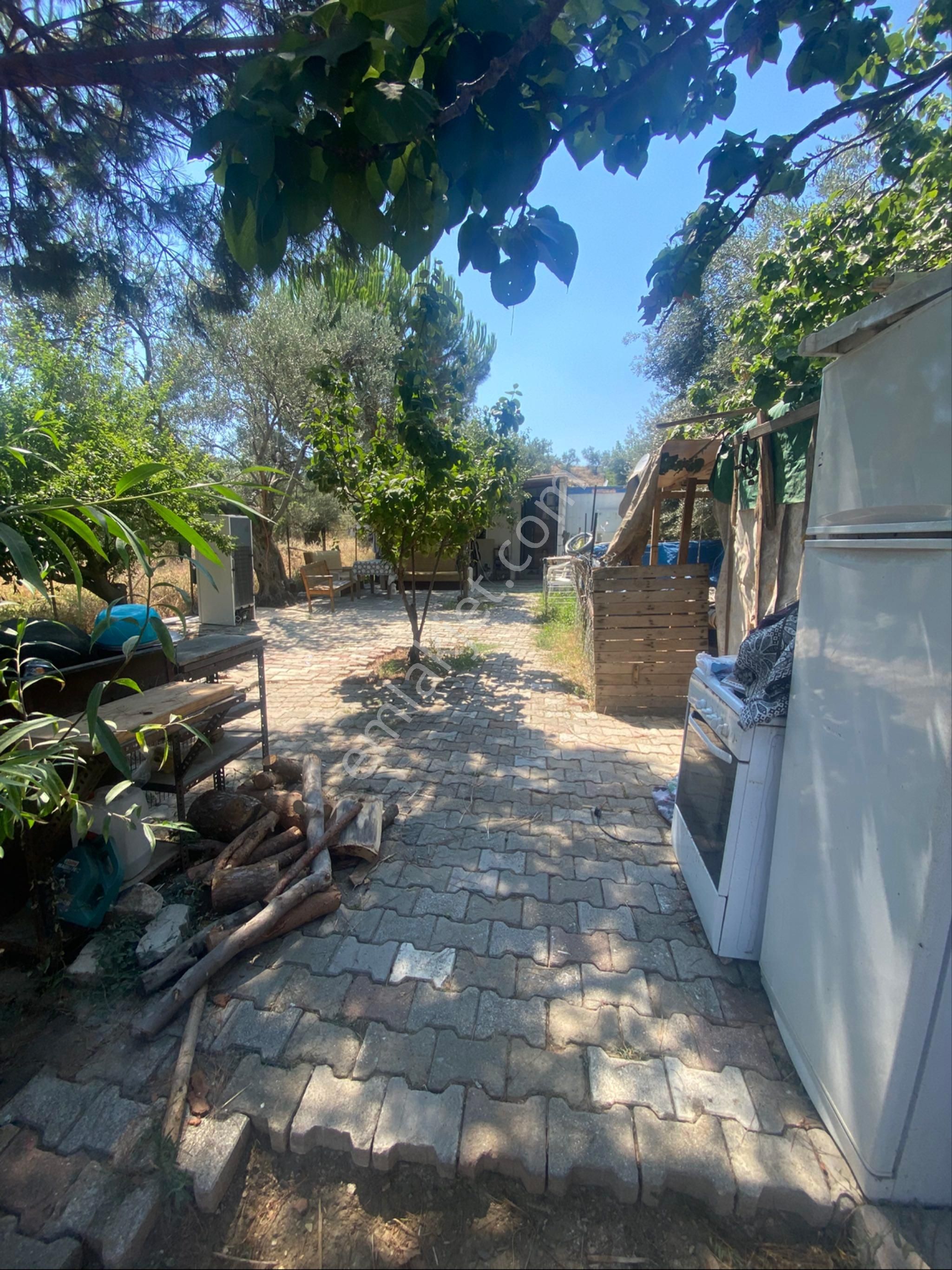 Nisa Gayrimenkulden Kelepır Arsa