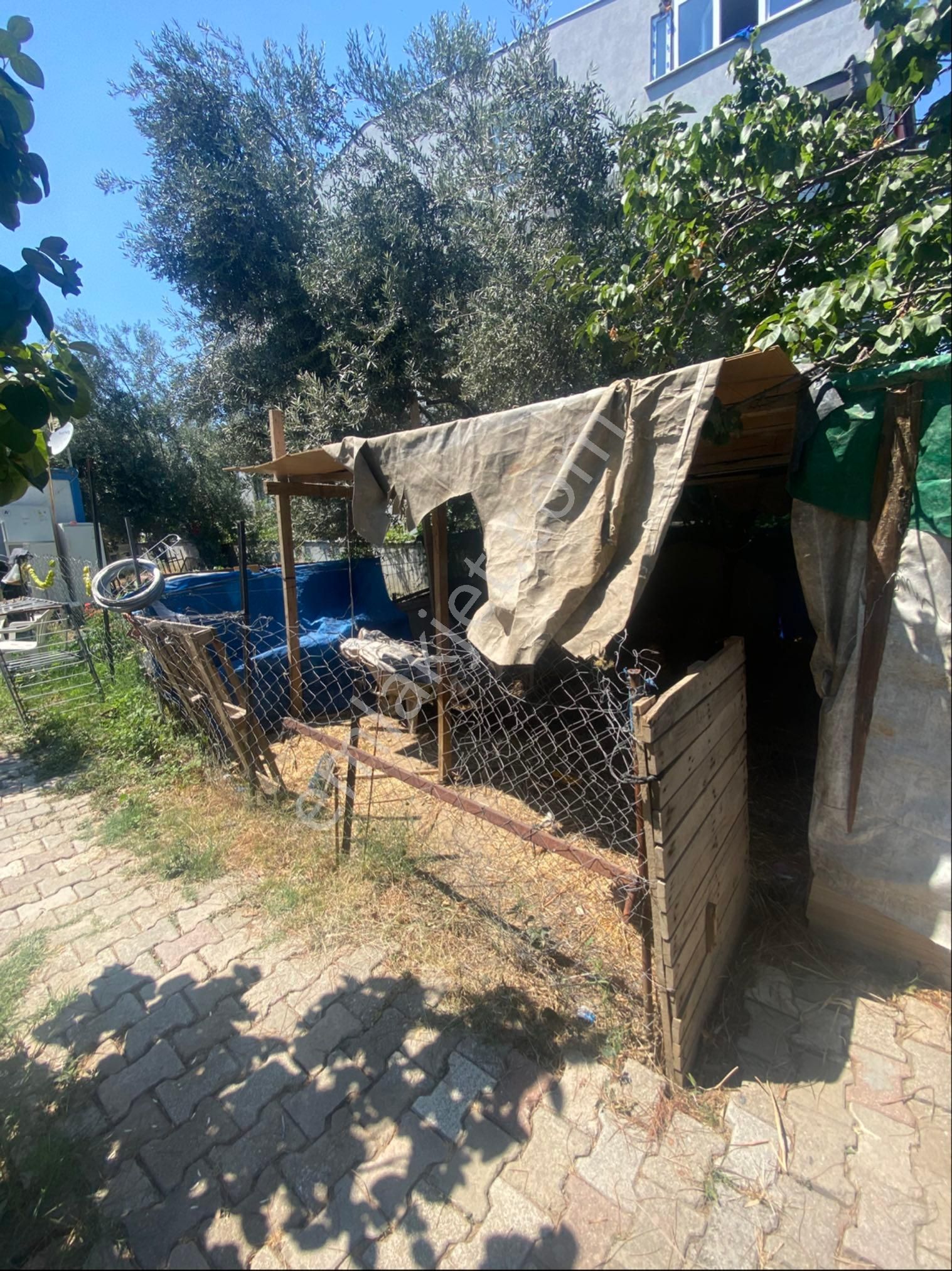 Nisa Gayrimenkulden Kelepır Arsa - Görsel 5