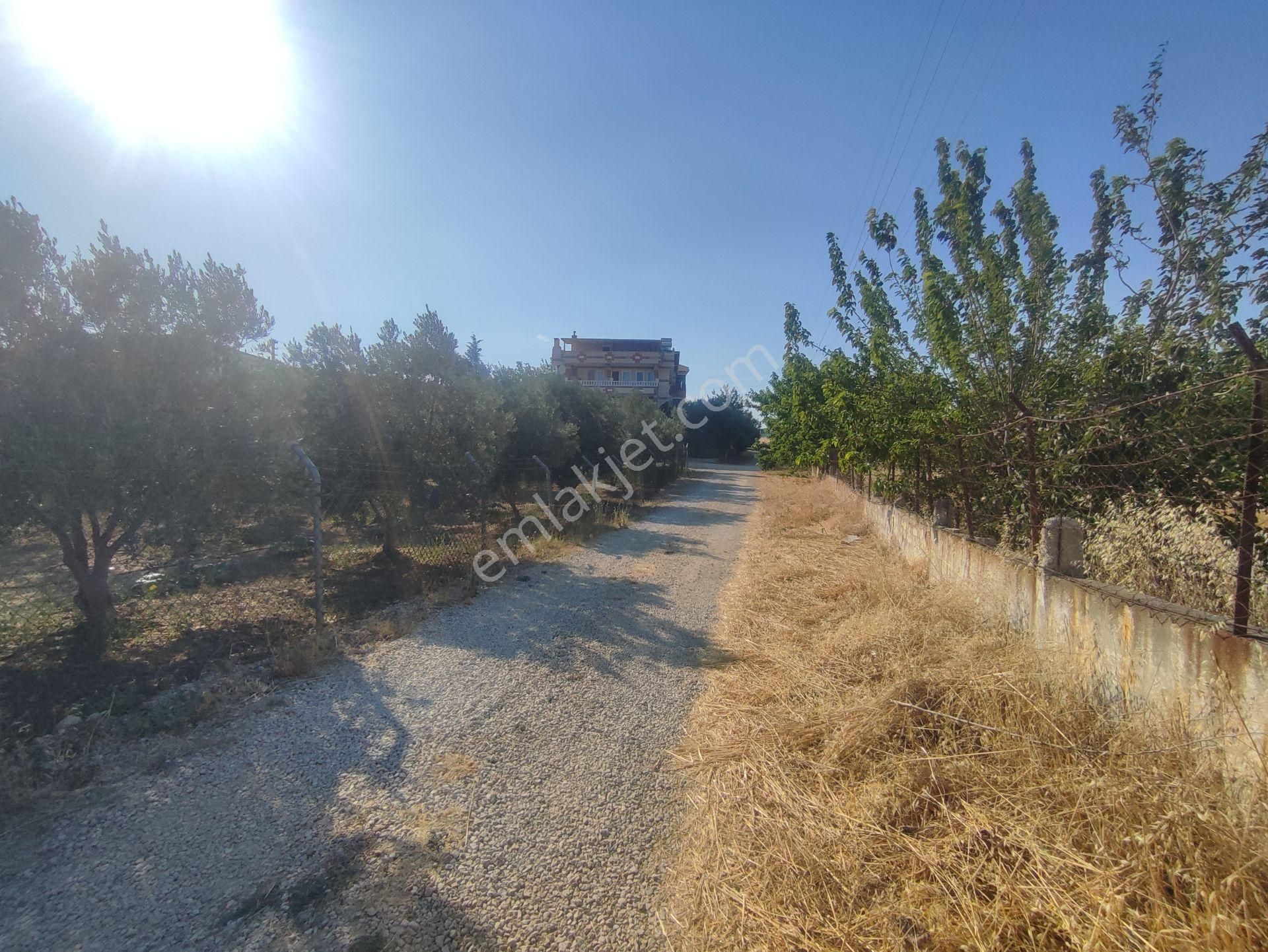 Bulut Yatırımdan 250 M² % 25 İmarlı Merkezi Konumda Arsa - Görsel 19