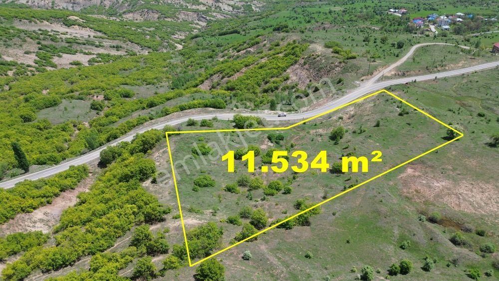 Bingöl / Yayladere / Yolgüden Mahallesinde 11.534 M² Müstakil Tapulu Tarla