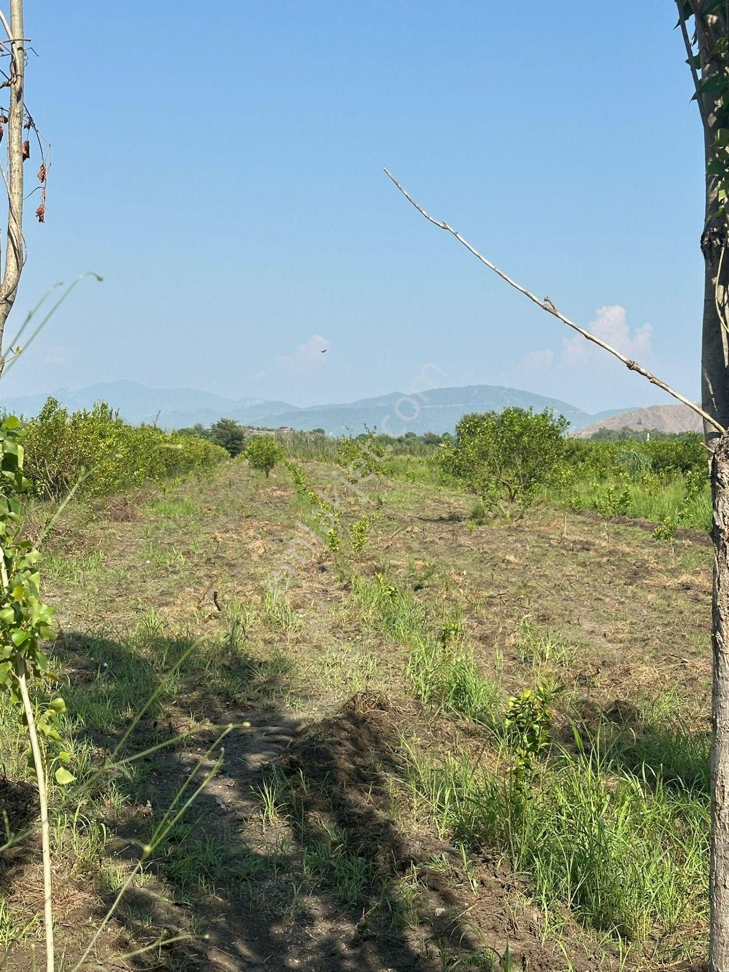 Ortaca Yeşilyurtta Müstakil Tapu 16.100m2 Kupon Tarla