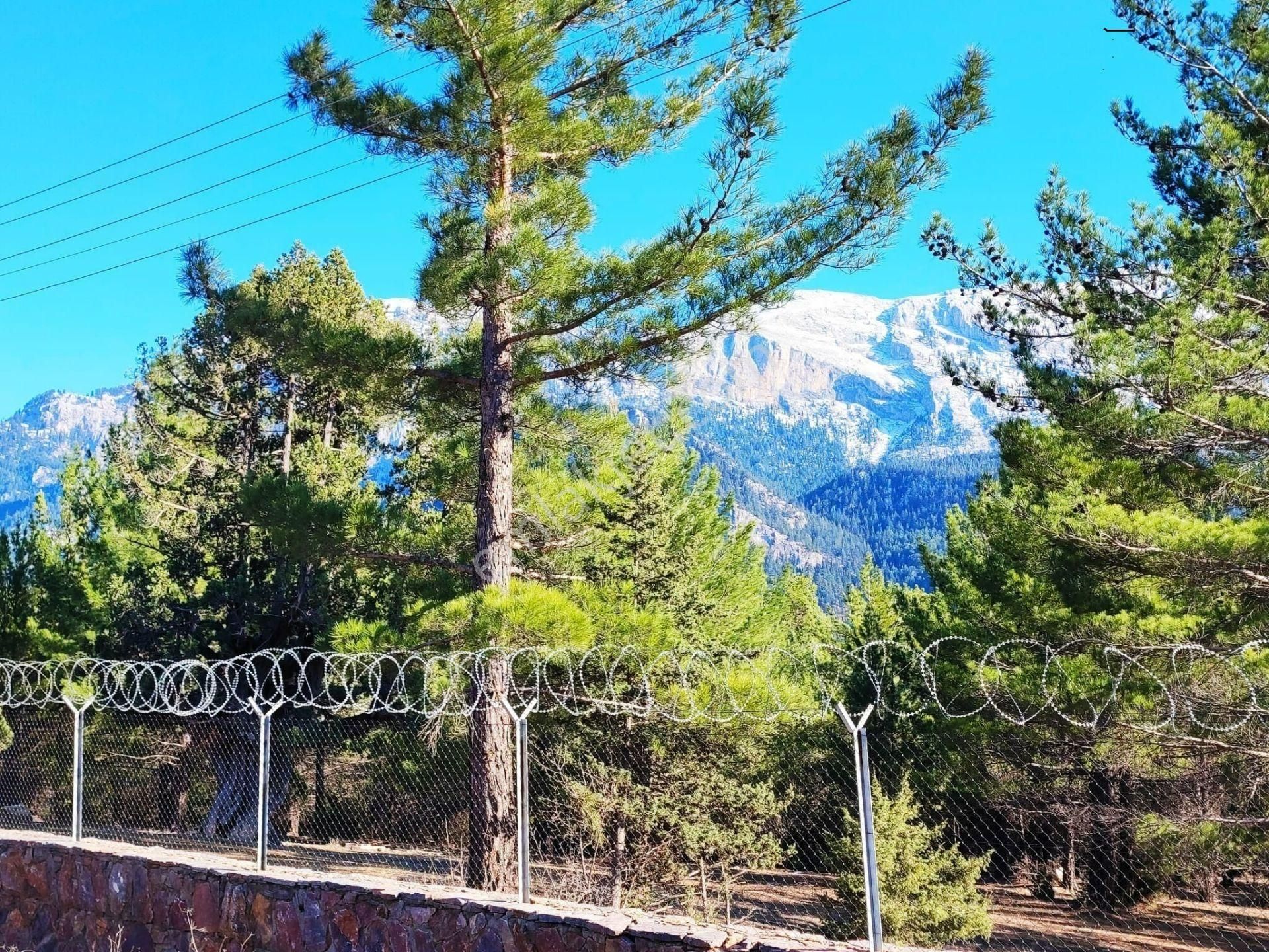 Pozantı Kar Emlaktan Akçatekir Alparslan Mevkiinde Doğa Manzaralı Satılık Yaylalık 375 M2 Arsa - Görsel 4