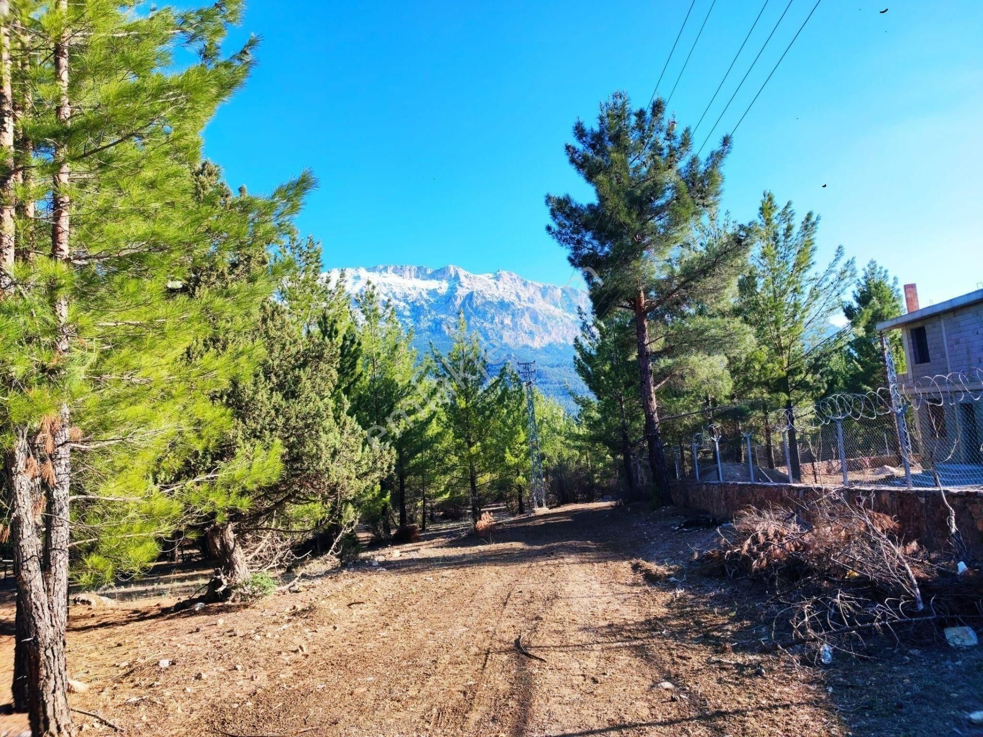 Pozantı Kar Emlaktan Akçatekir Alparslan Mevkiinde Doğa Manzaralı Satılık Yaylalık 375 M2 Arsa