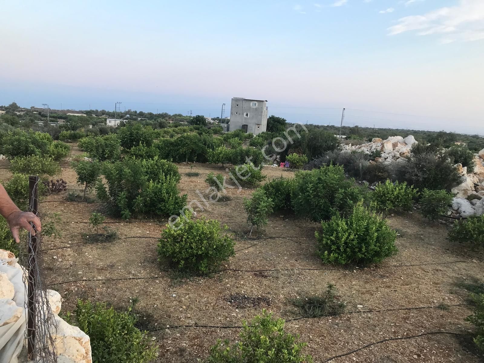 Narlıkuyu - Hasanalilerde Satılık Deniz Ve Doğa Manzaralı Tripleks Ev Ve Bahçe - Görsel 18