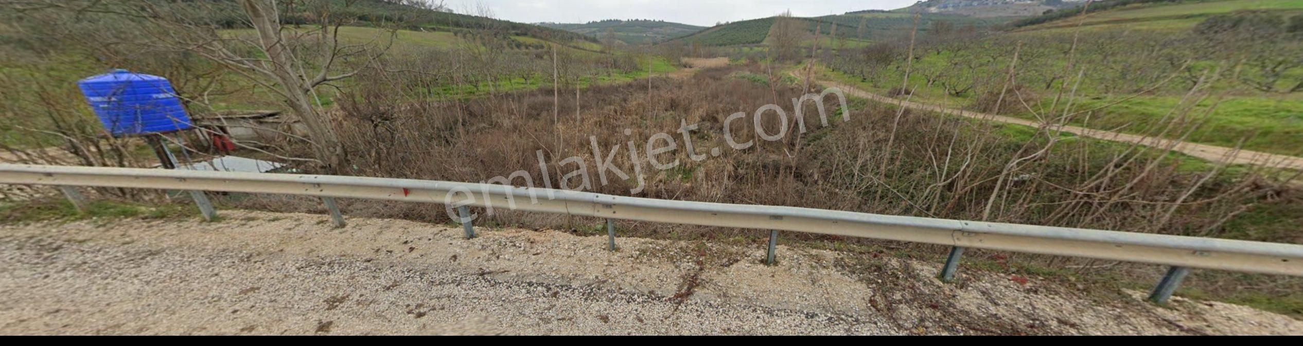 Mudanya Mürsel Köy 570 M² Bahçe, Tüm Hisseler Tek Elden Satılık