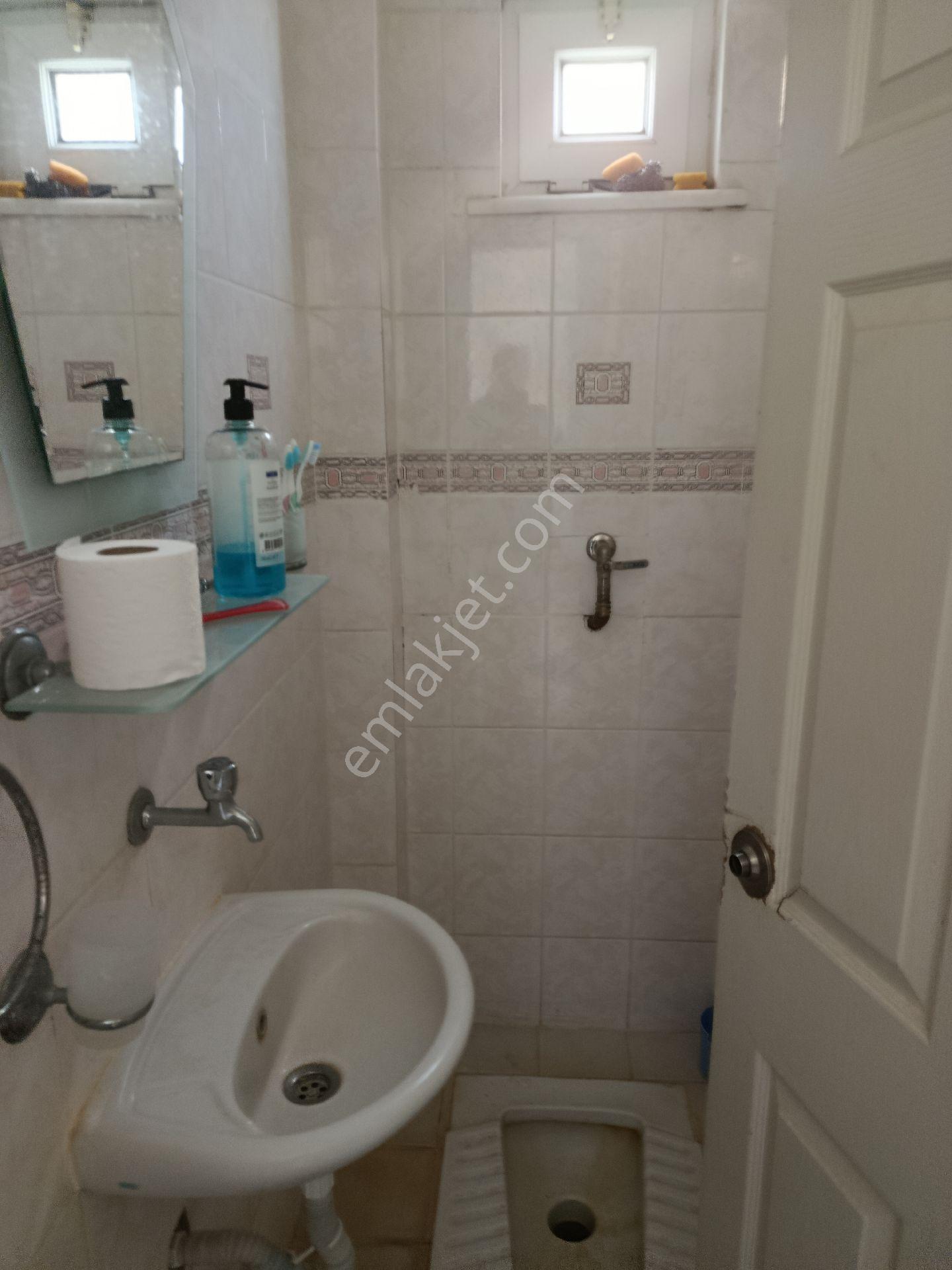 Gazlıgöl Yunus Termal 5+1 Villa - Görsel 3