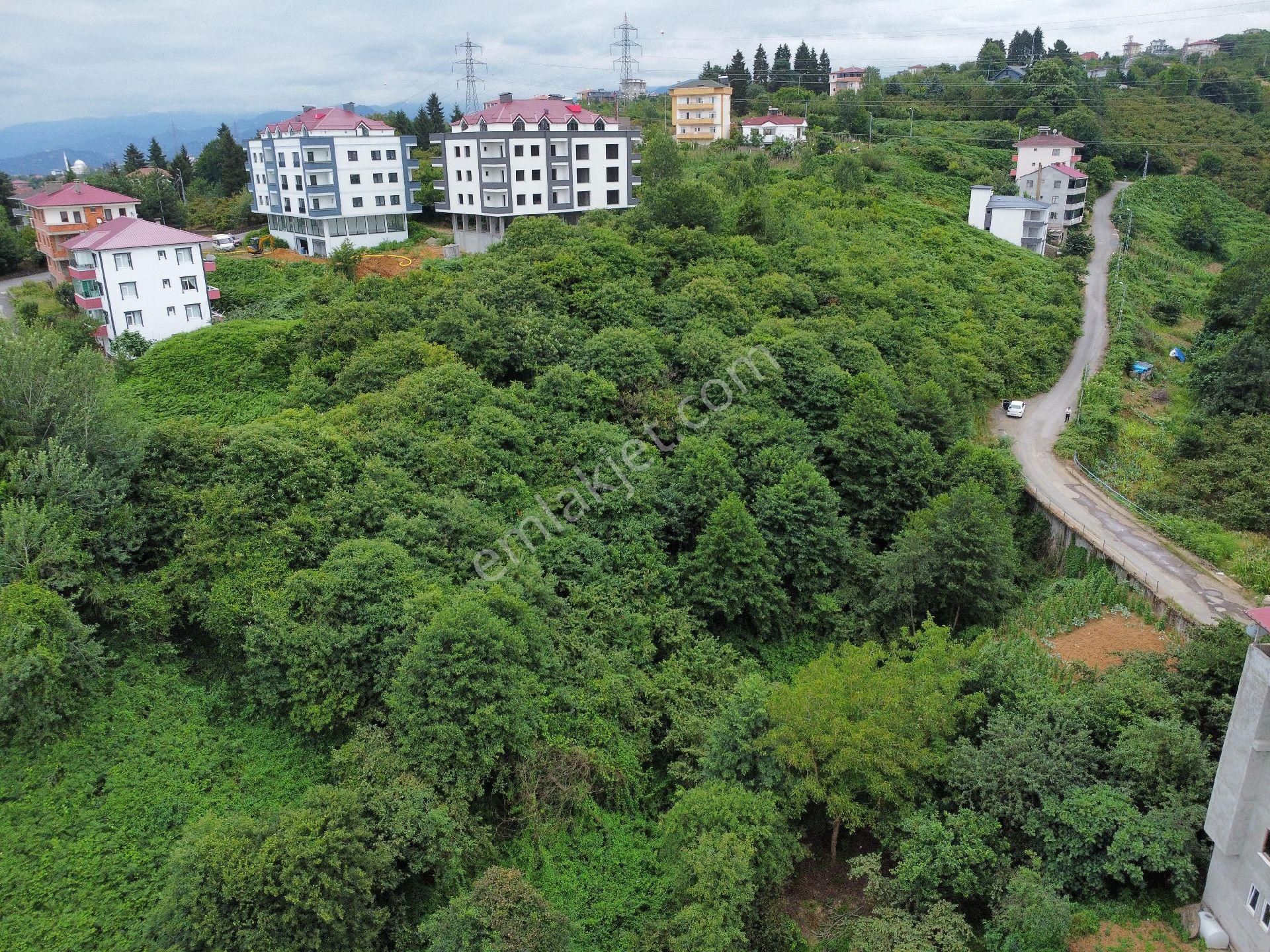 Yeşilköy İmarlı Manzaralı Arsa - Görsel 8