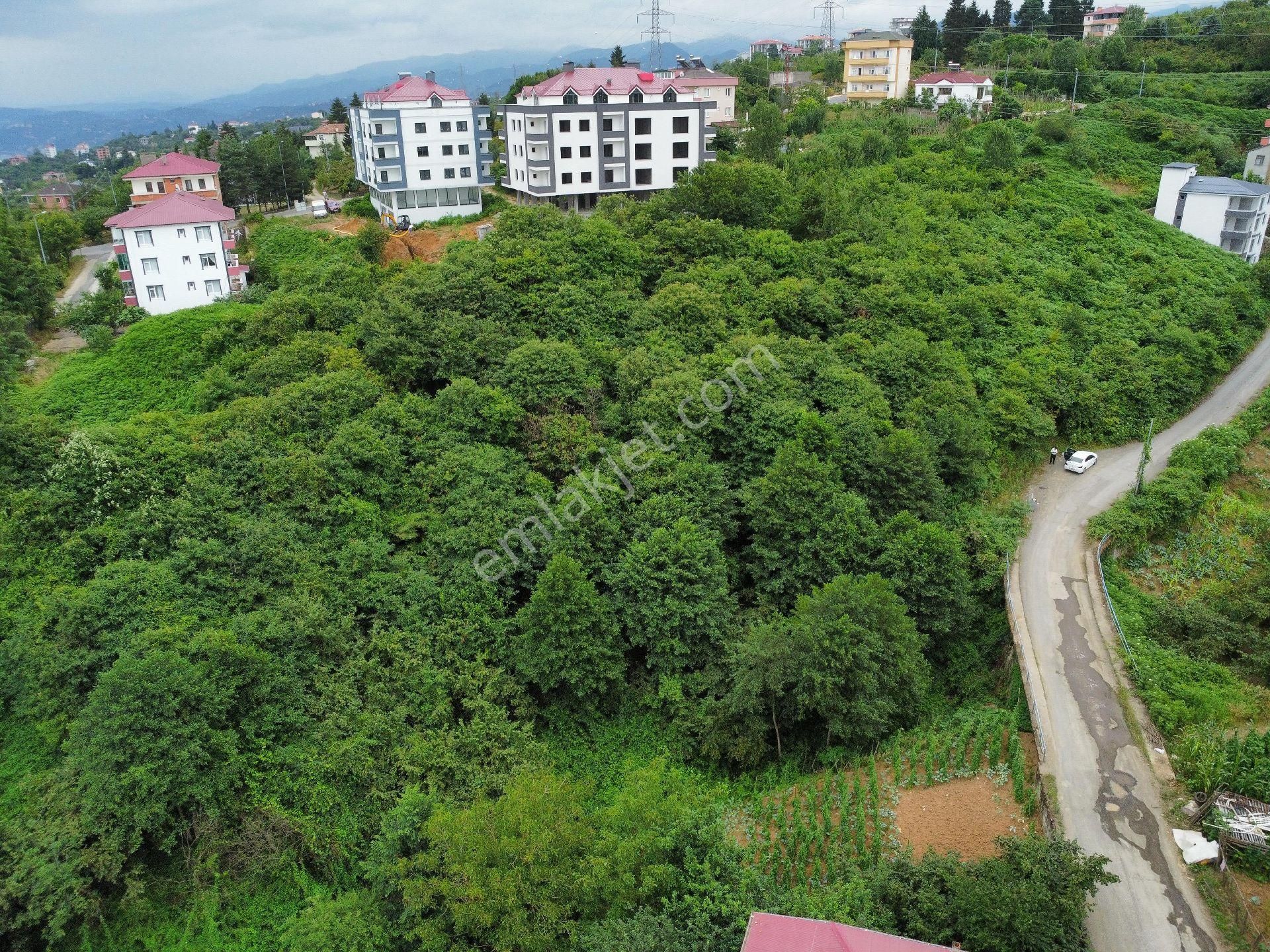 Yeşilköy İmarlı Manzaralı Arsa - Görsel 13