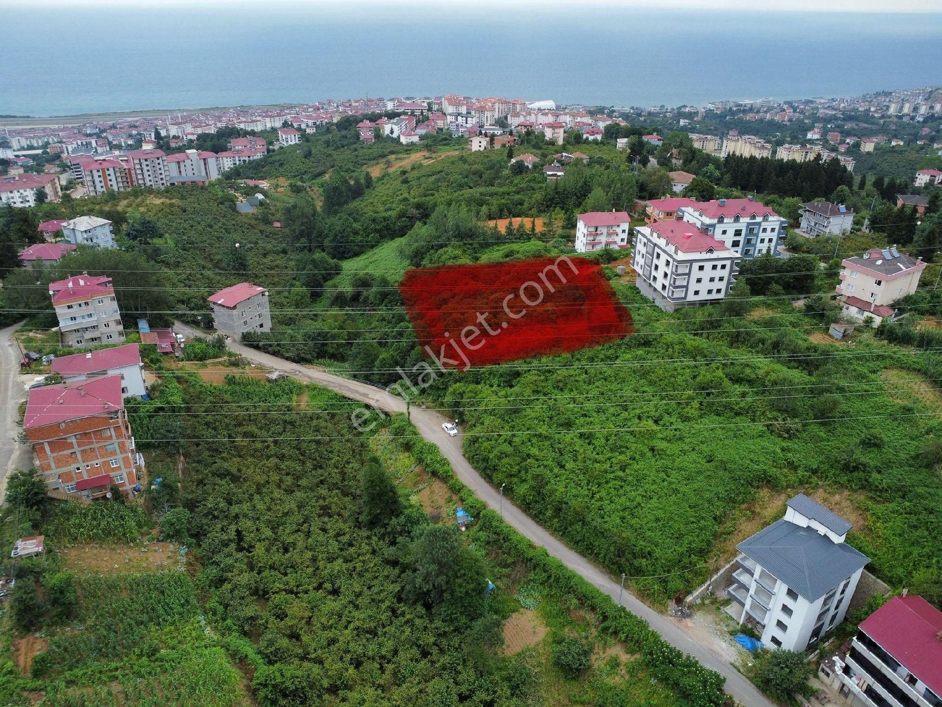 Yeşilköy İmarlı Manzaralı Arsa - Görsel 7