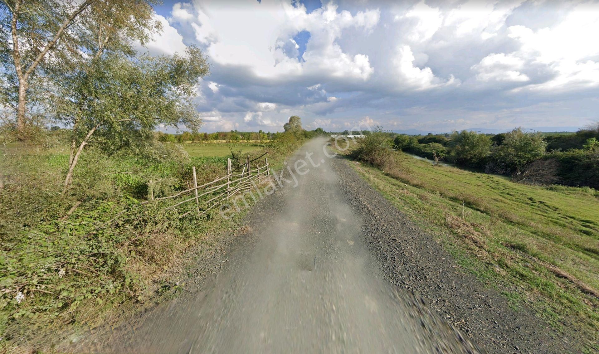 Samsun Çarşamba Epçeli 67 Mt Yol Cepheli 7.910 M2 Tarla Otobana 2.500 Metre - Görsel 21