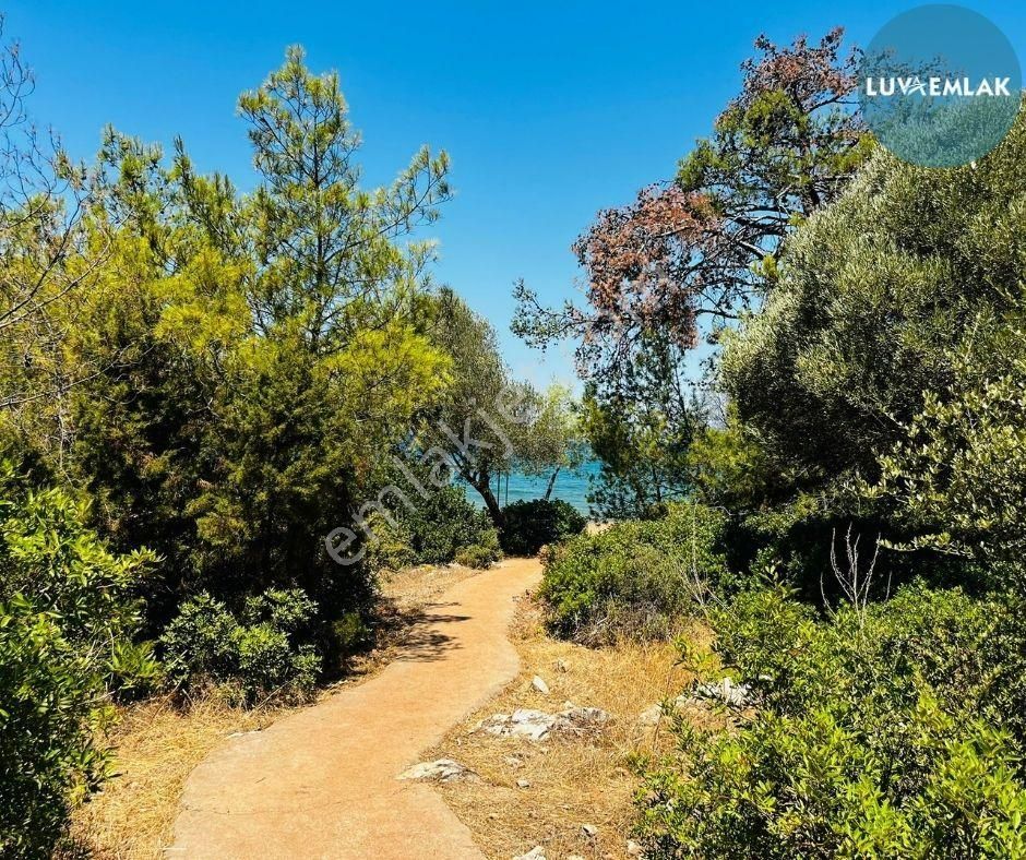 Didim Akbük'te Denize 70 Metre Özel Plajlı Sitede Deniz Manzaralı 2+1 Yazlık - Görsel 8