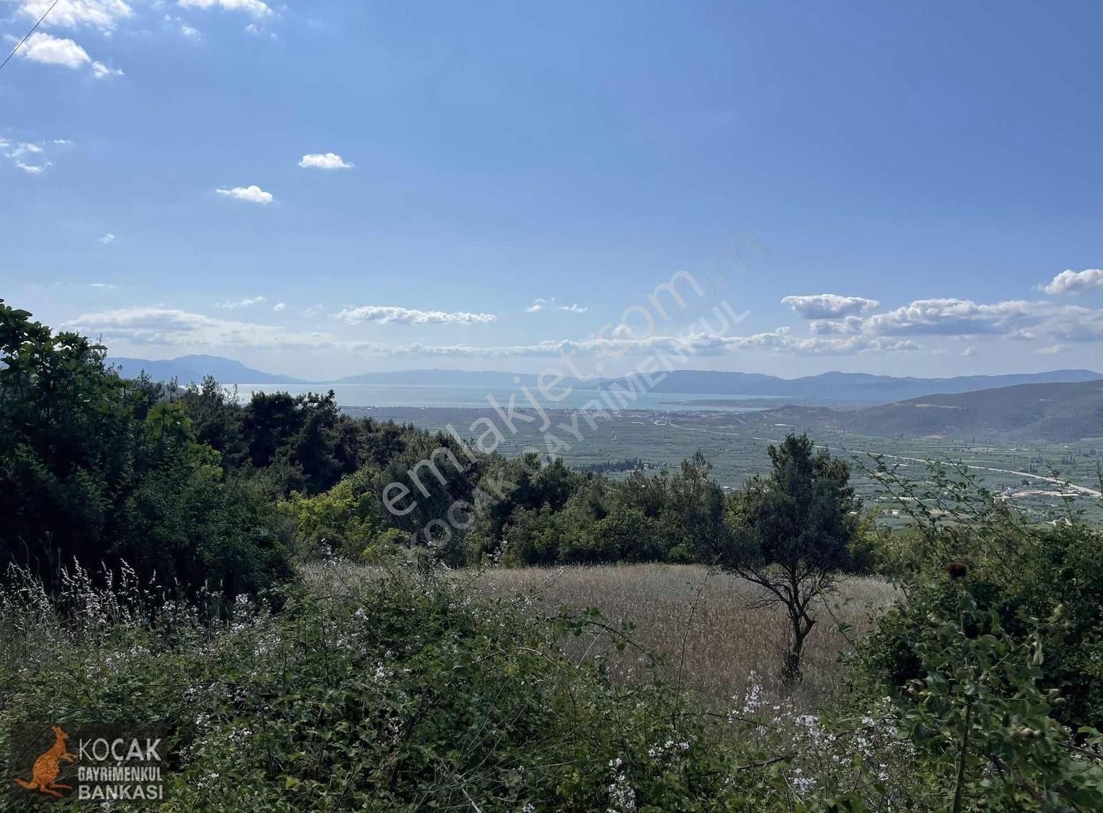 Çamoluk Mah.asfalt Cepheli Göl Manzaralı 7830 M2 Satılık Bahçe - Görsel 30
