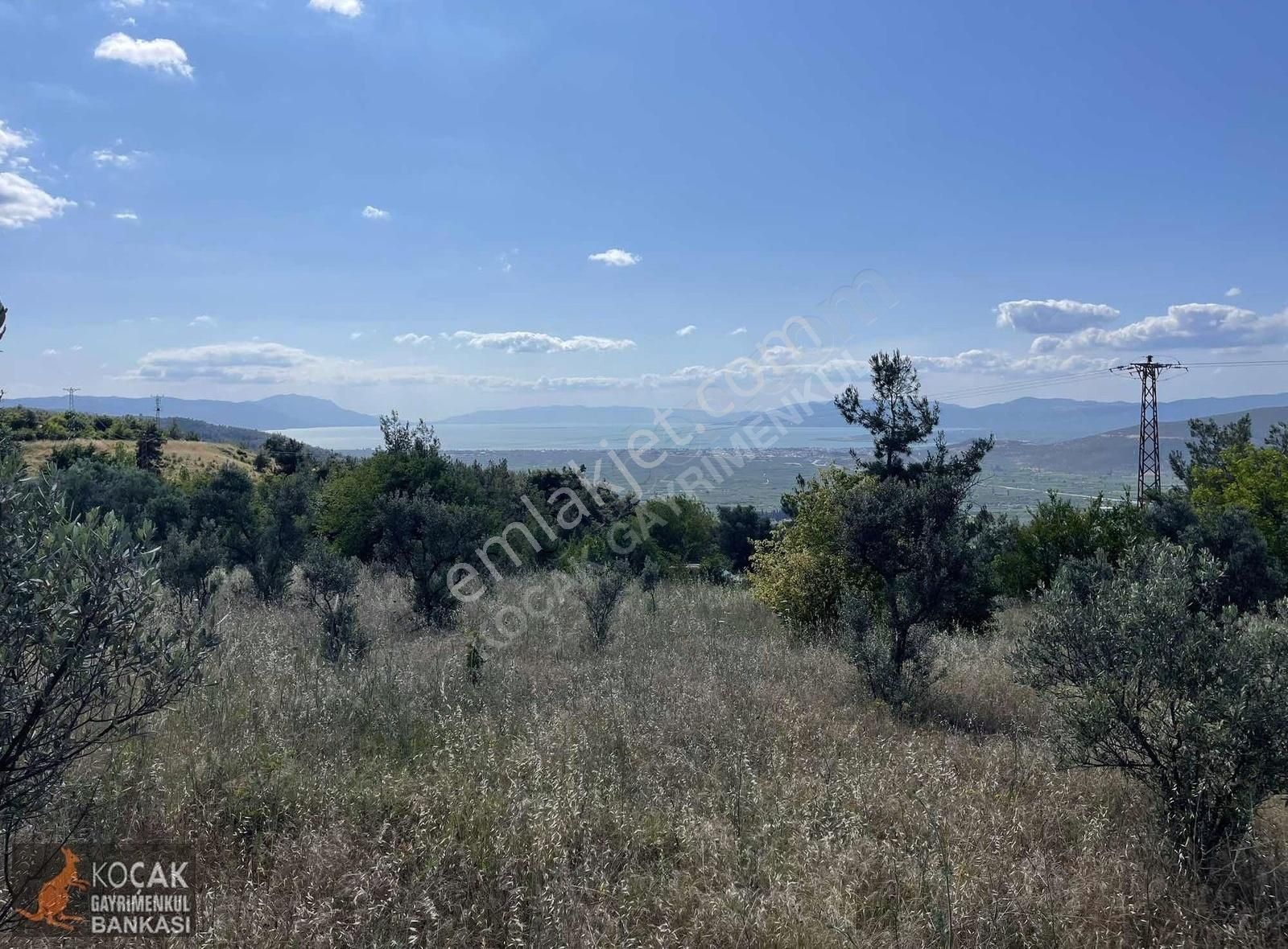 Çamoluk Mah.asfalt Cepheli Göl Manzaralı 7830 M2 Satılık Bahçe - Görsel 4