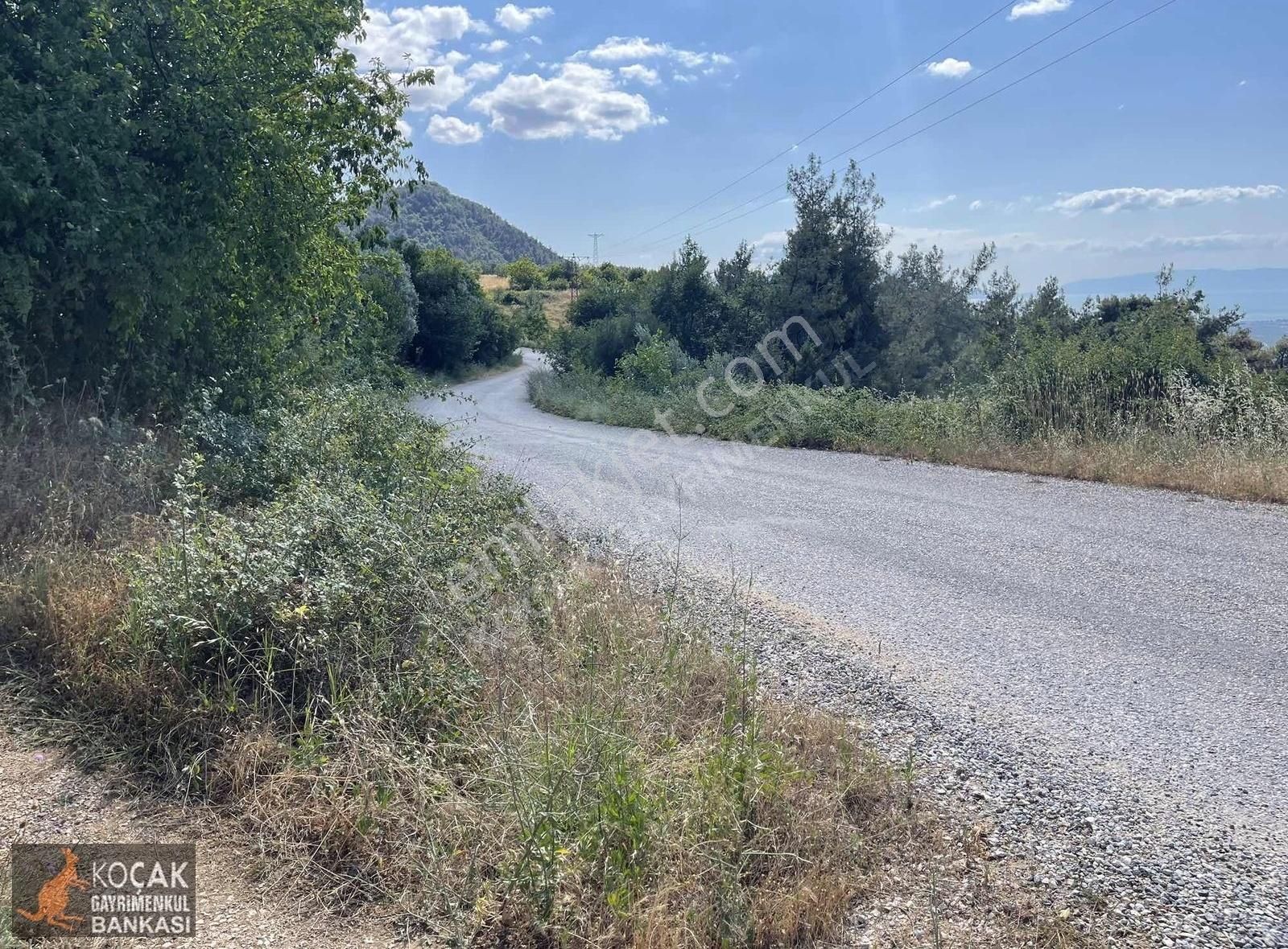 Çamoluk Mah.asfalt Cepheli Göl Manzaralı 7830 M2 Satılık Bahçe - Görsel 19