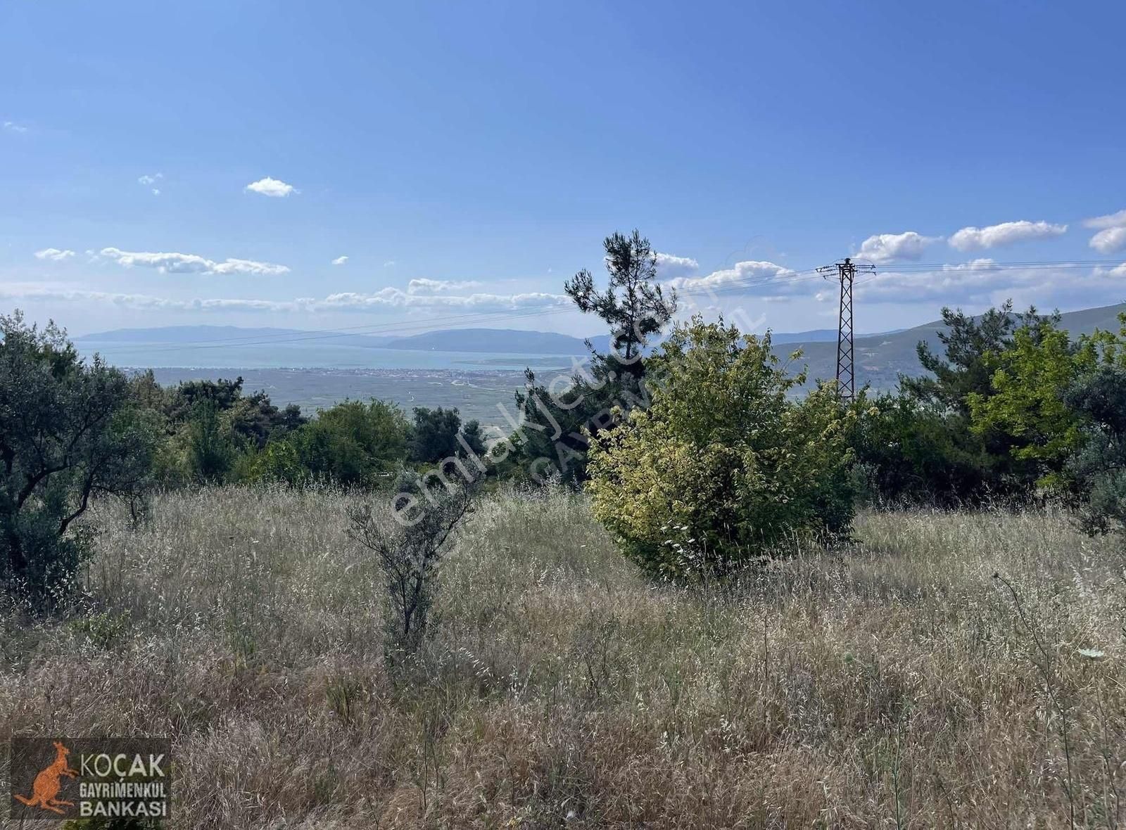 Çamoluk Mah.asfalt Cepheli Göl Manzaralı 7830 M2 Satılık Bahçe - Görsel 18