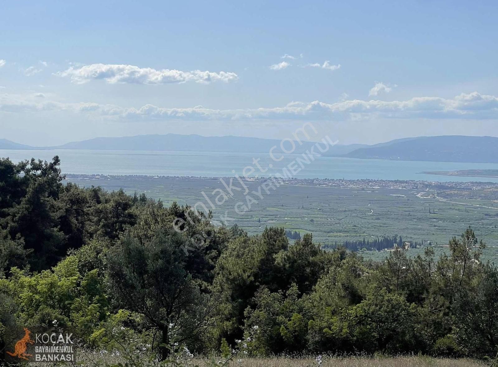 Çamoluk Mah.asfalt Cepheli Göl Manzaralı 7830 M2 Satılık Bahçe - Görsel 21