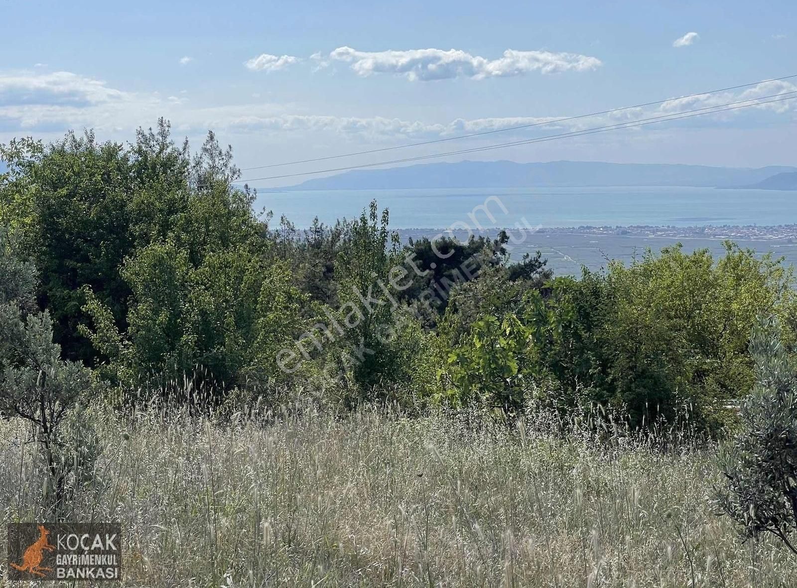 Çamoluk Mah.asfalt Cepheli Göl Manzaralı 7830 M2 Satılık Bahçe - Görsel 27