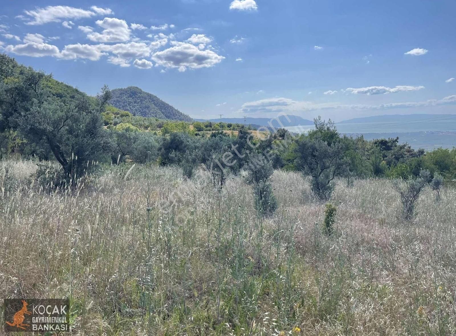 Çamoluk Mah.asfalt Cepheli Göl Manzaralı 7830 M2 Satılık Bahçe - Görsel 20