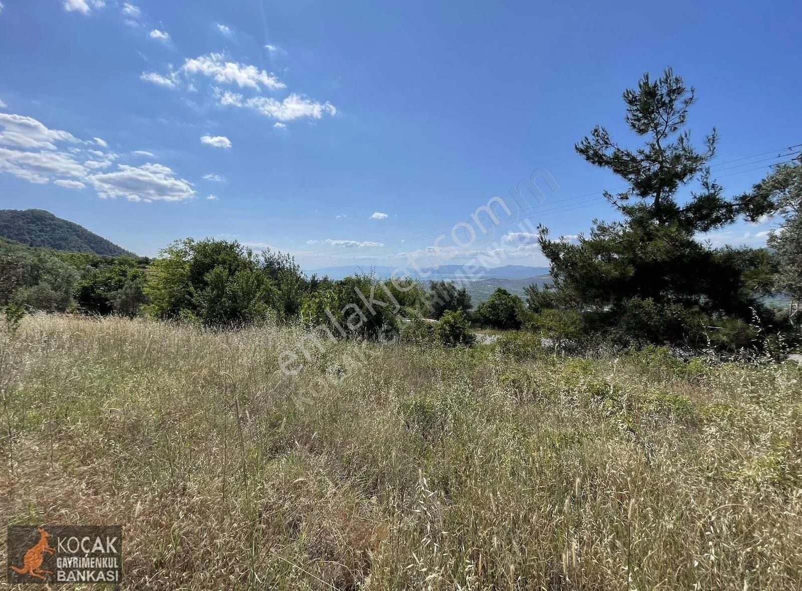 Çamoluk Mah.asfalt Cepheli Göl Manzaralı 7830 M2 Satılık Bahçe - Görsel 11