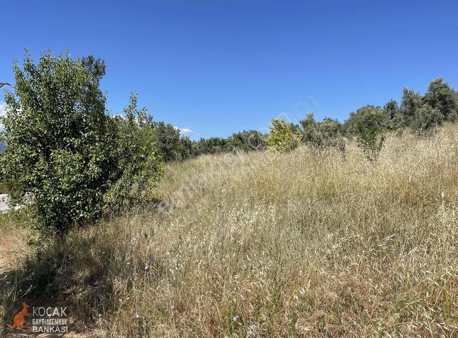 Çamoluk Mah.asfalt Cepheli Göl Manzaralı 7830 M2 Satılık Bahçe - Görsel 14