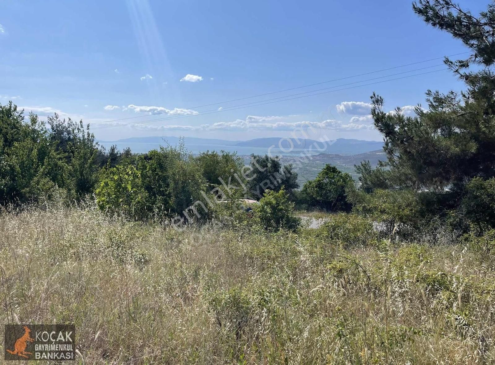Çamoluk Mah.asfalt Cepheli Göl Manzaralı 7830 M2 Satılık Bahçe - Görsel 5