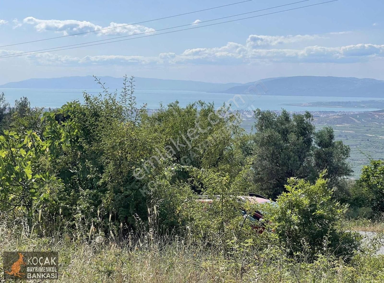 Çamoluk Mah.asfalt Cepheli Göl Manzaralı 7830 M2 Satılık Bahçe - Görsel 2