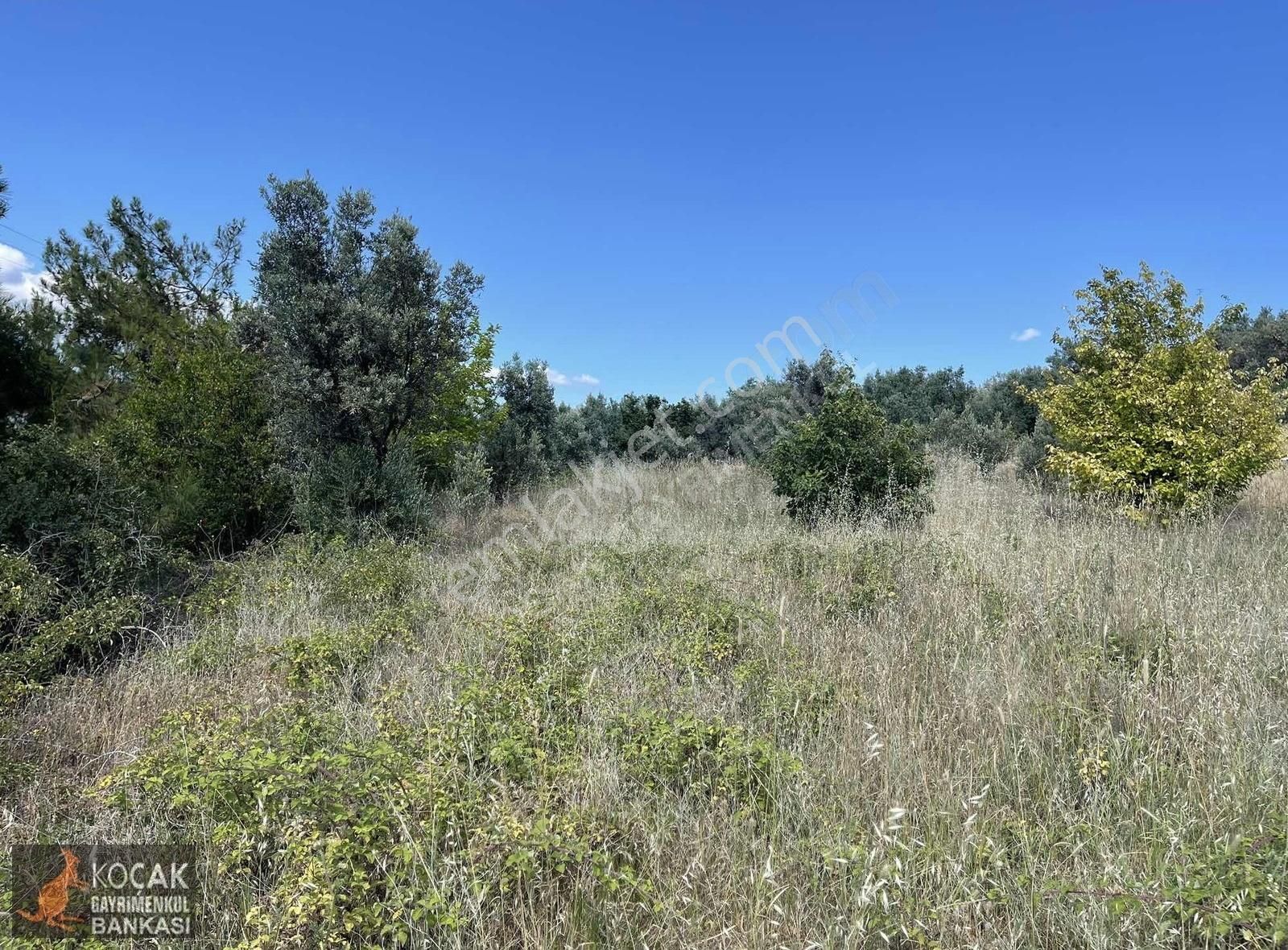 Çamoluk Mah.asfalt Cepheli Göl Manzaralı 7830 M2 Satılık Bahçe - Görsel 3