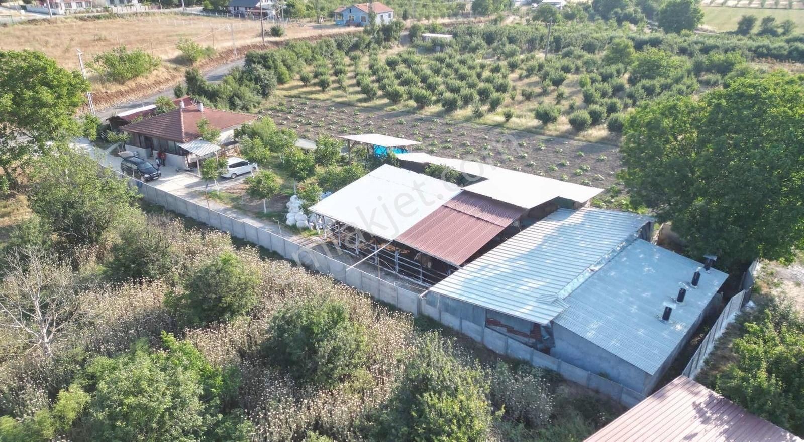 Hazır Kurulu Çiftlik - Görsel 14