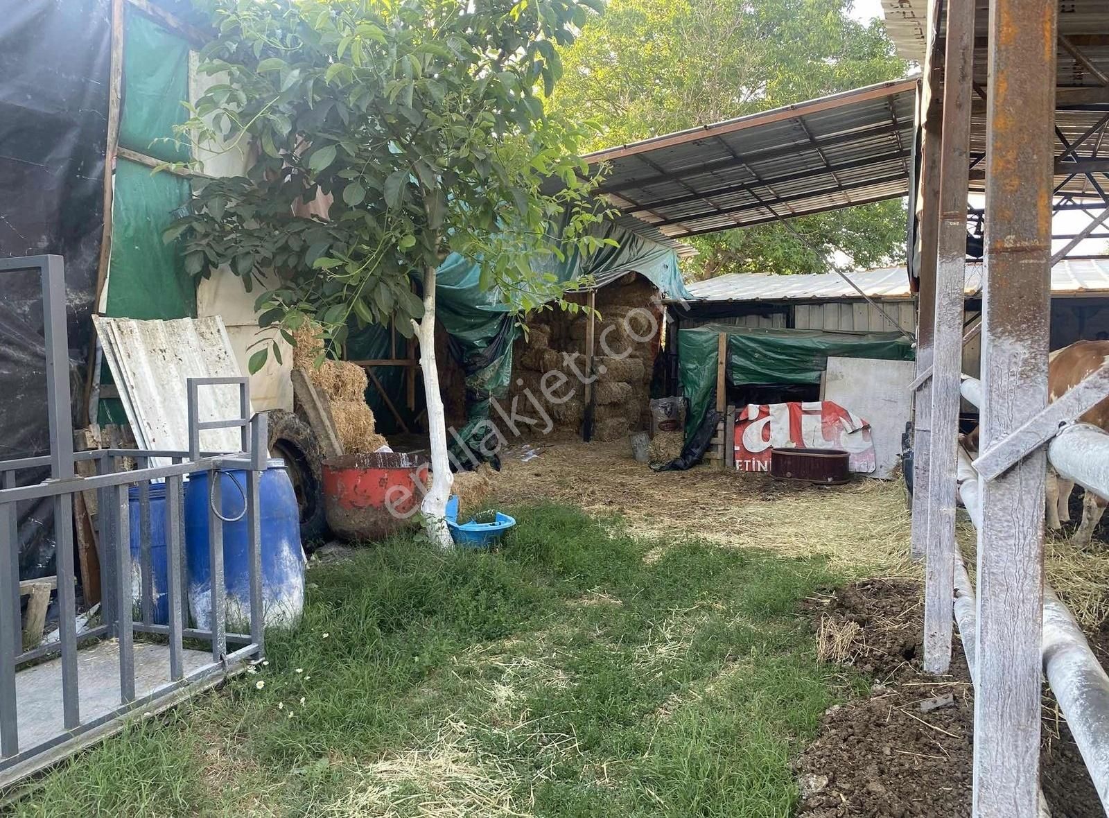 Hazır Kurulu Çiftlik - Görsel 12