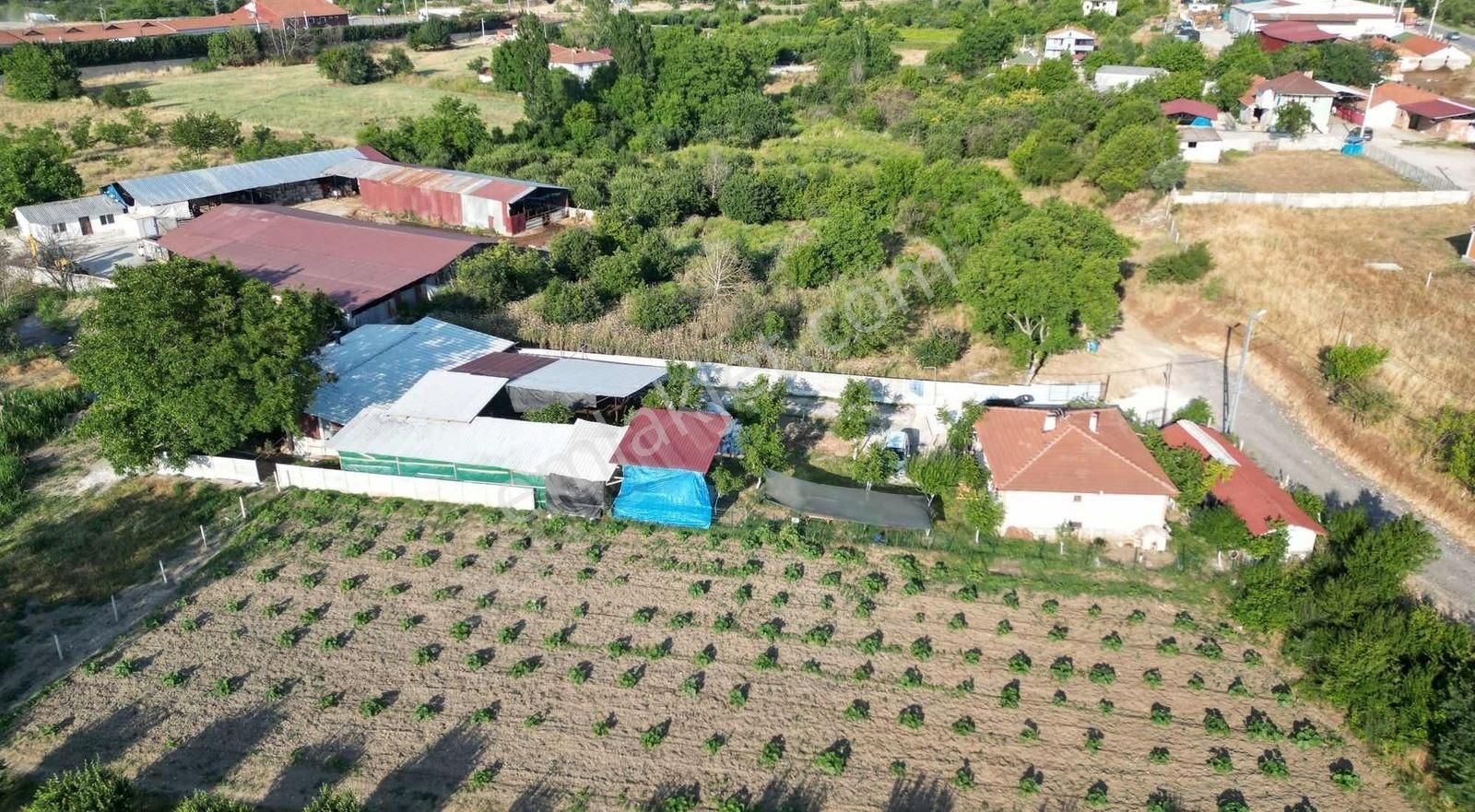 Hazır Kurulu Çiftlik - Görsel 9