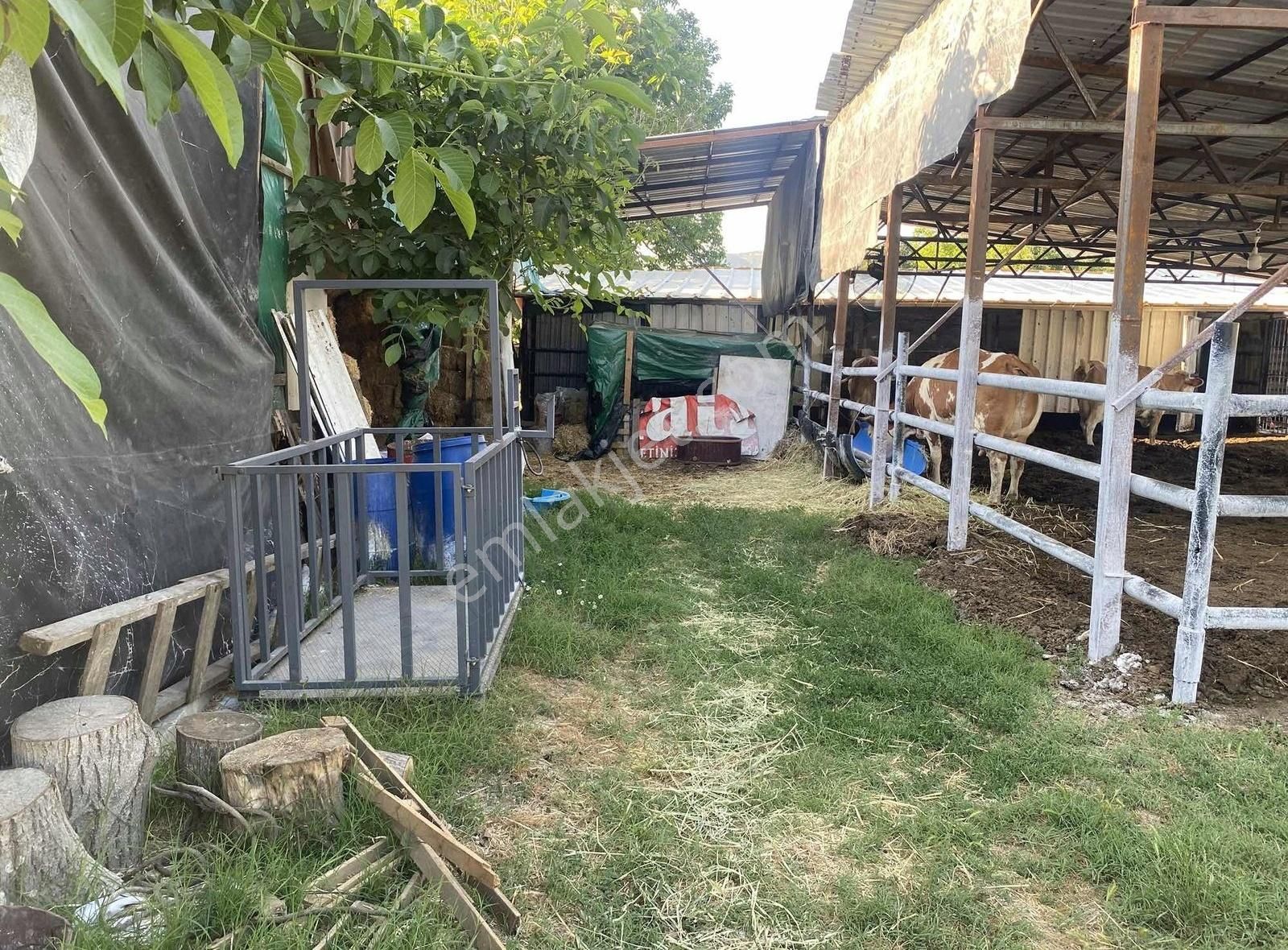 Hazır Kurulu Çiftlik - Görsel 25